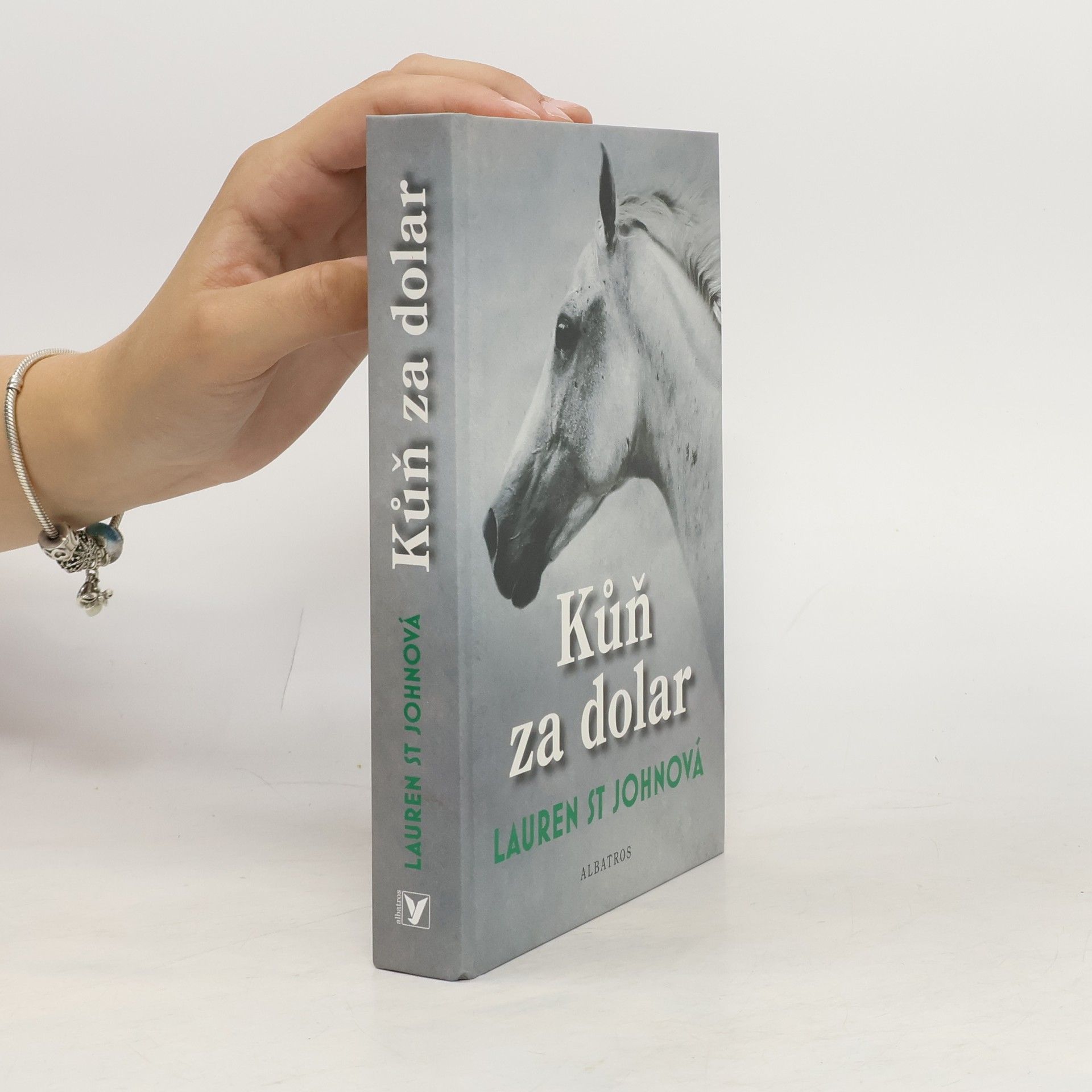 Lauren St. John Kůň za dolar