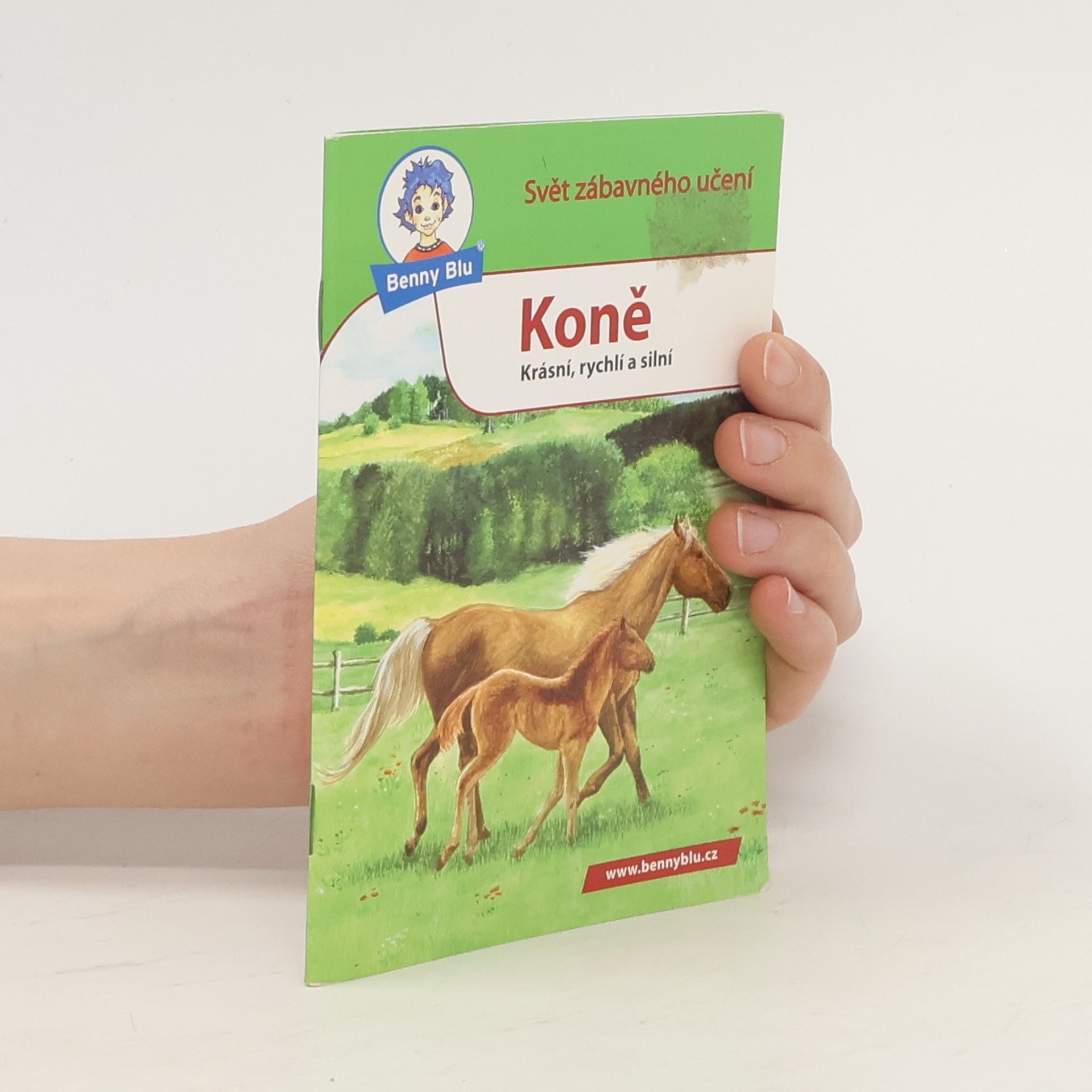Nicola Herbst Koně : krásní, rychlí a silní