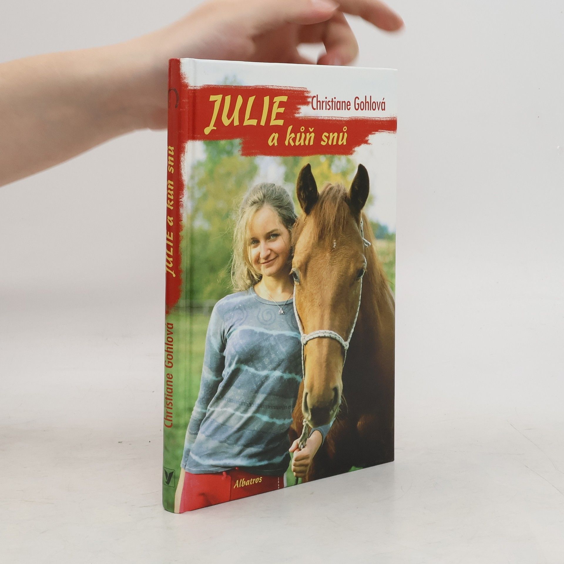 Christiane Gohl Julie a kůň snů