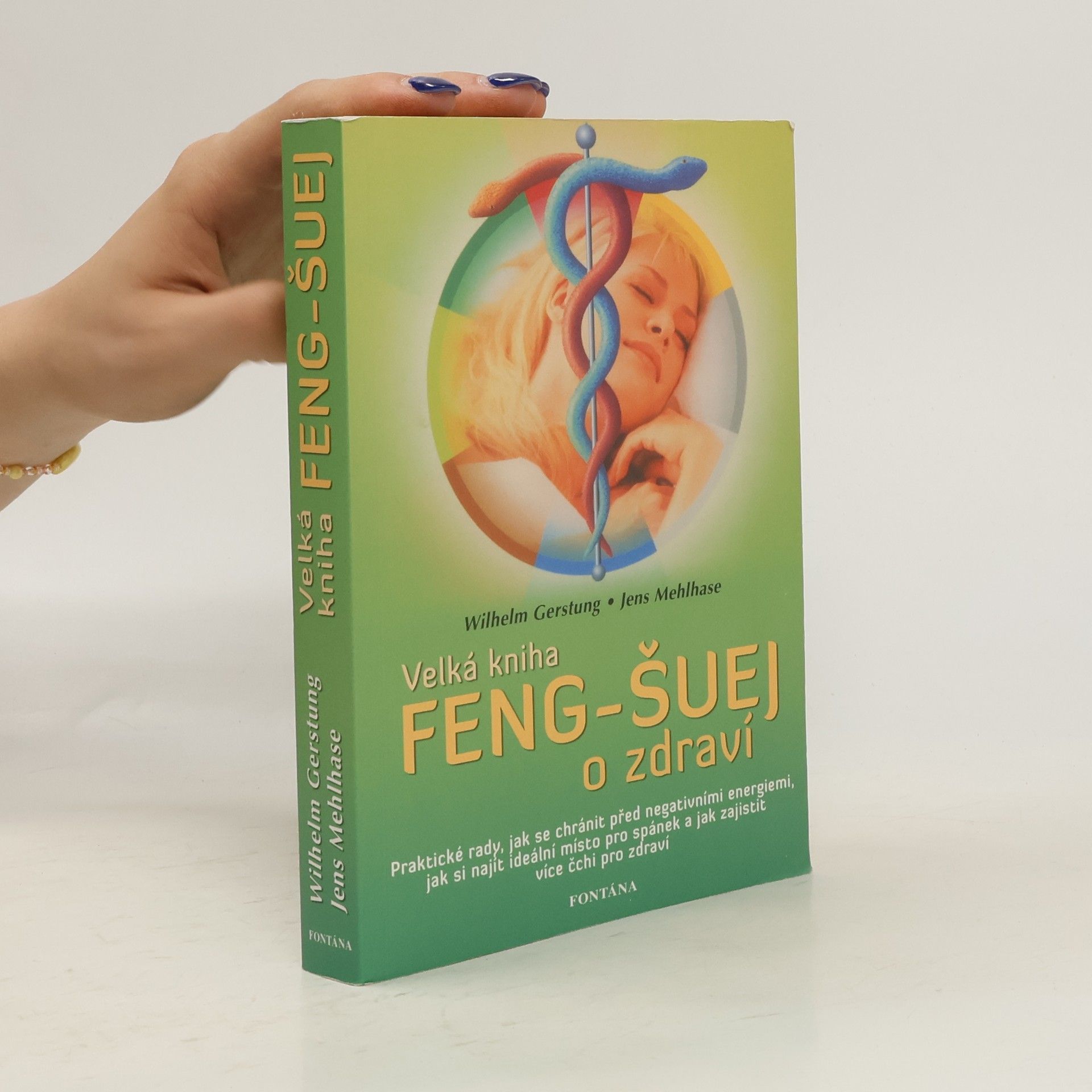 Wilhelm Gerstung Velká kniha feng-šuej o zdraví