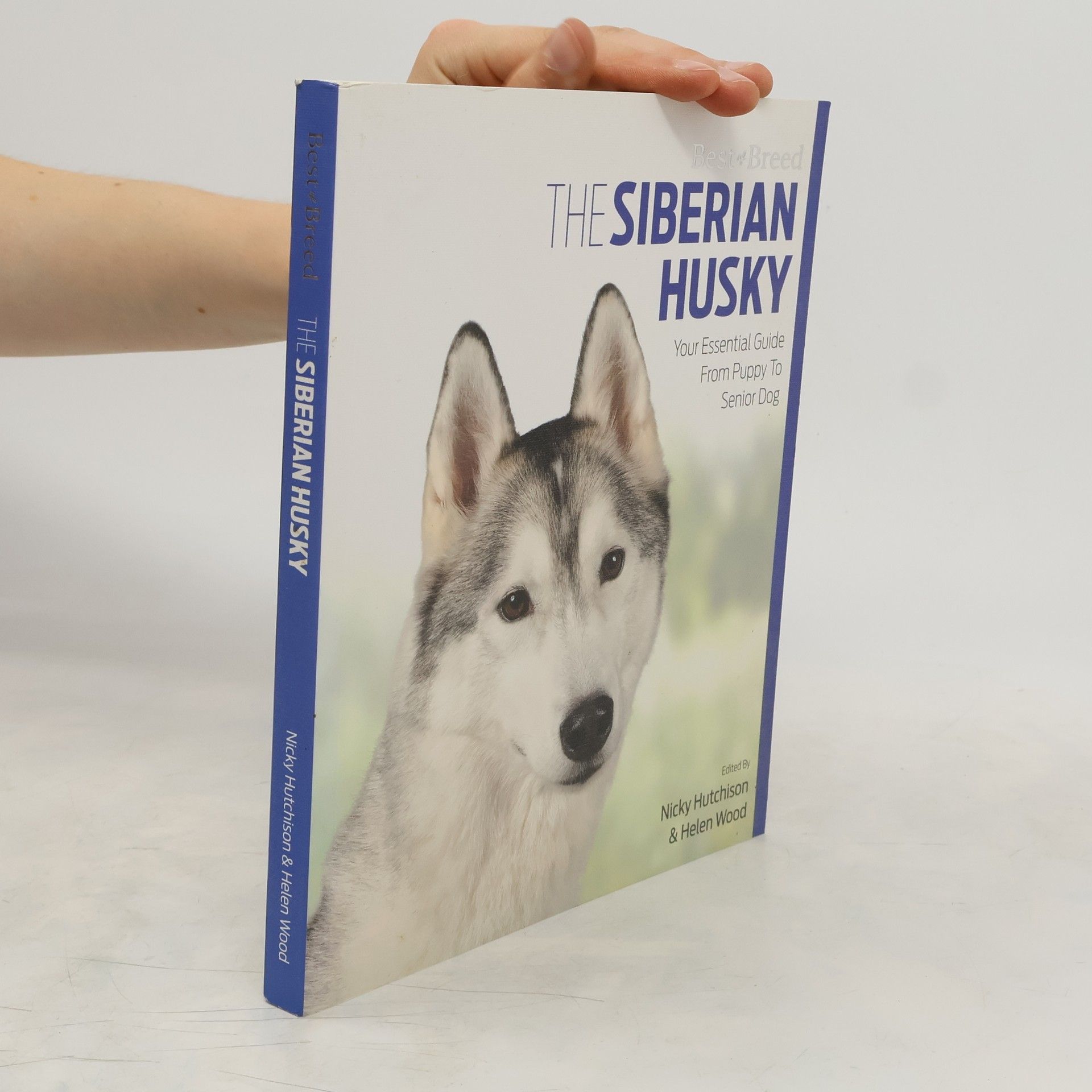 Nicky Hutchison Siberian Husky Best of Breed