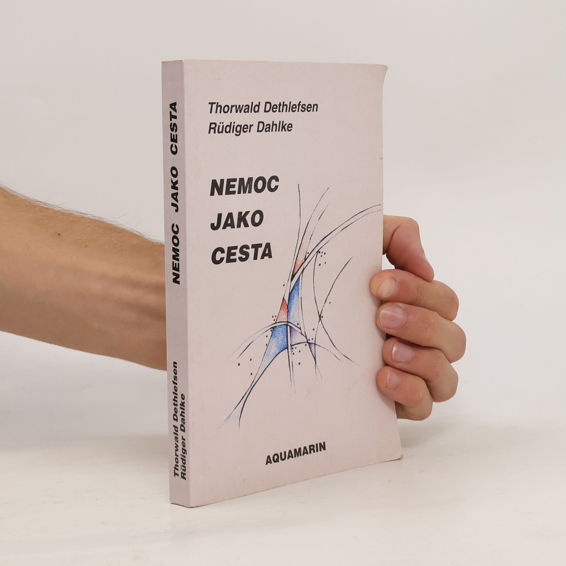 Thorwald Dethlefsen Nemoc jako cesta