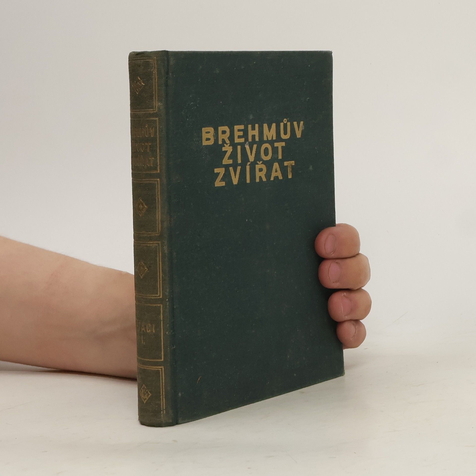 Adolf Meyer Brehmův život zvířat. Ptáci 1