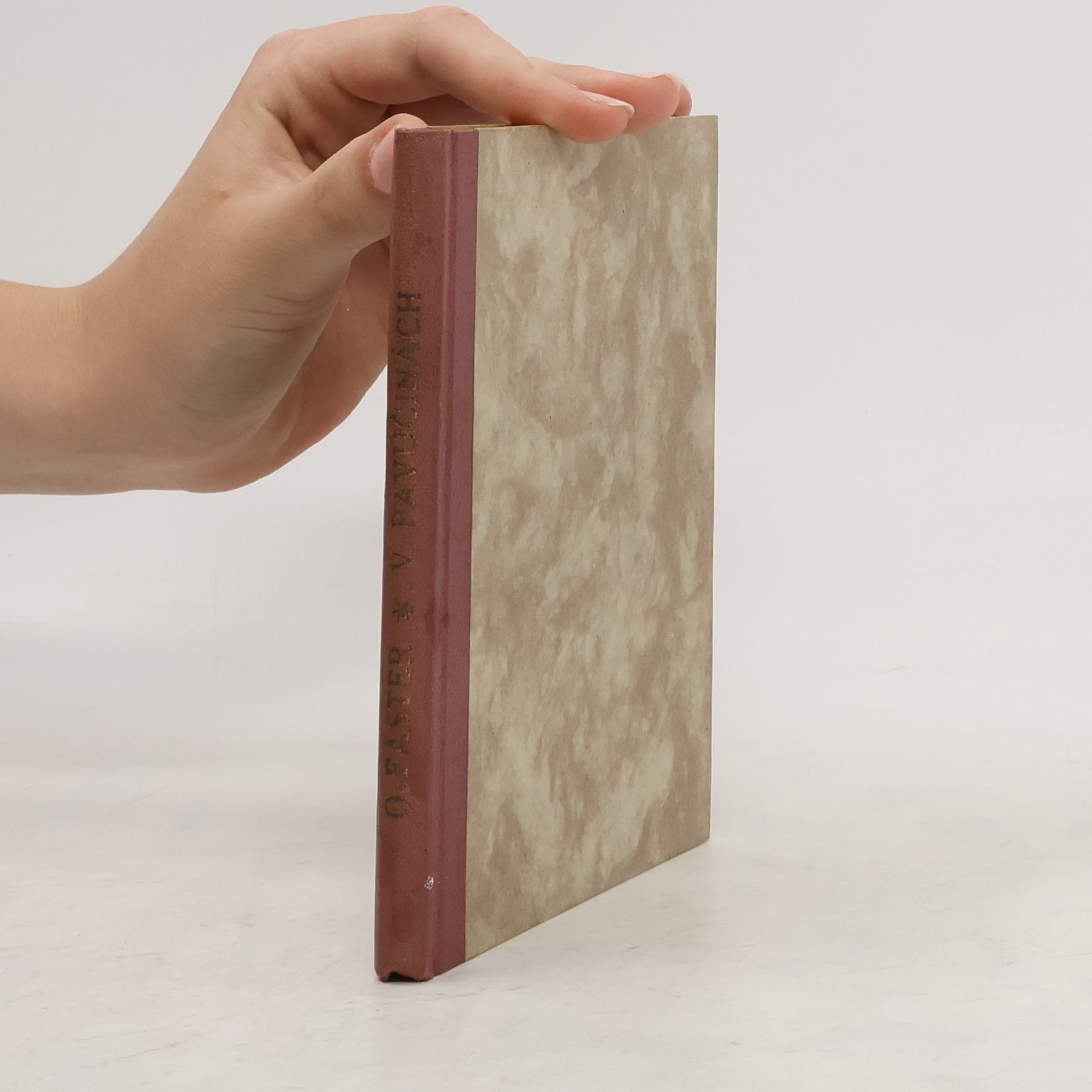 Otto Faster V Pavučinách