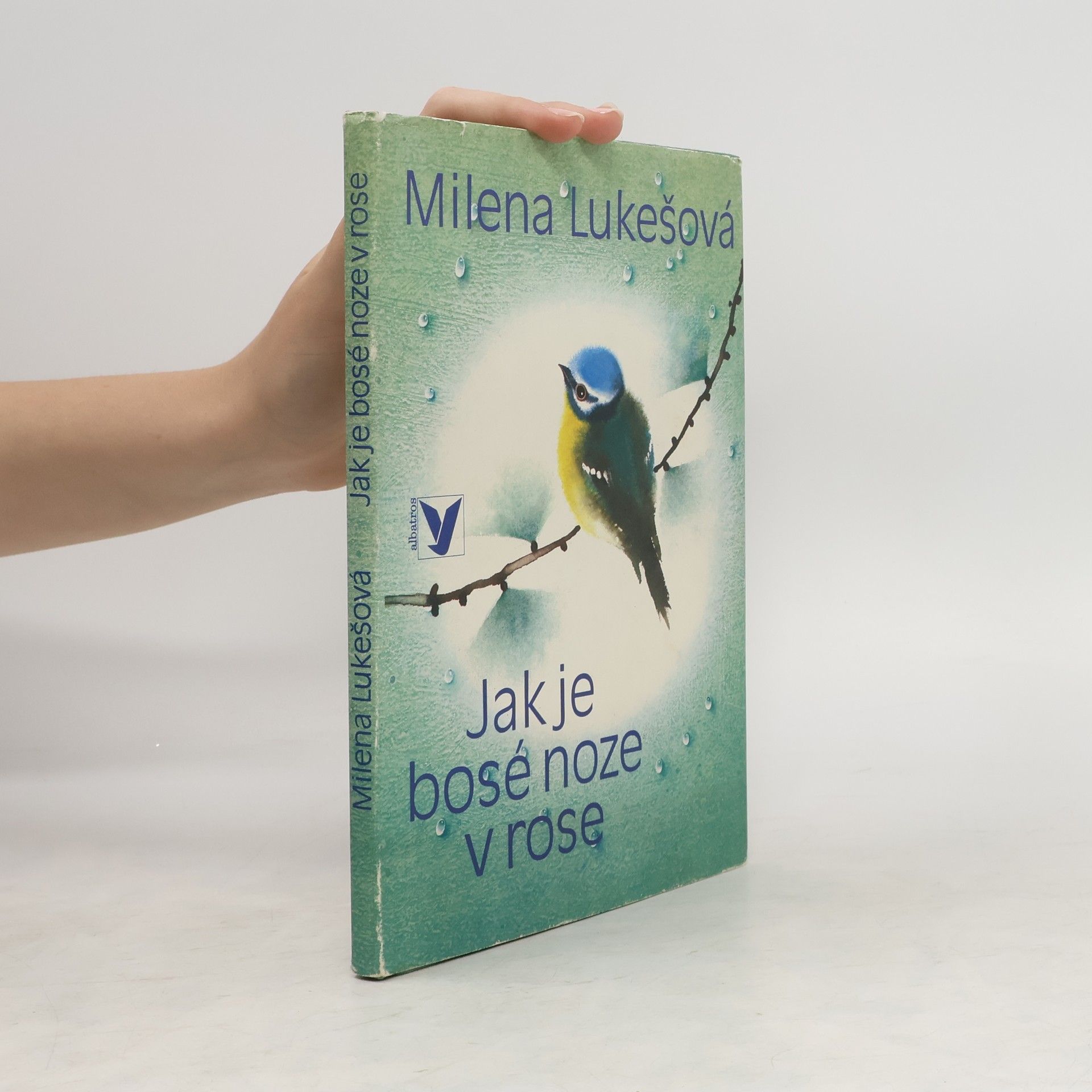 Jitka Walterová Jak je bosé noze v rose