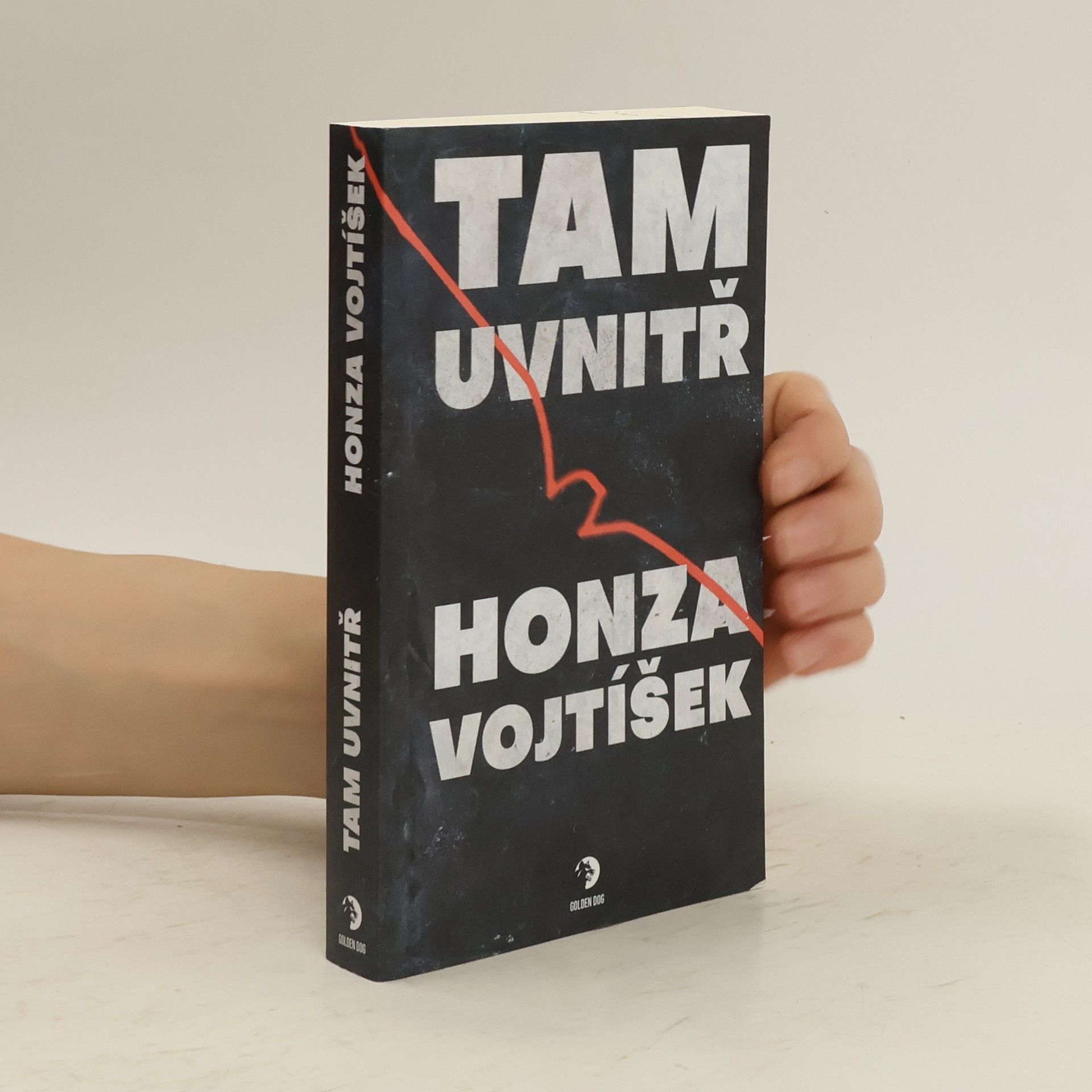 Honza Vojtíšek Tam uvnitř