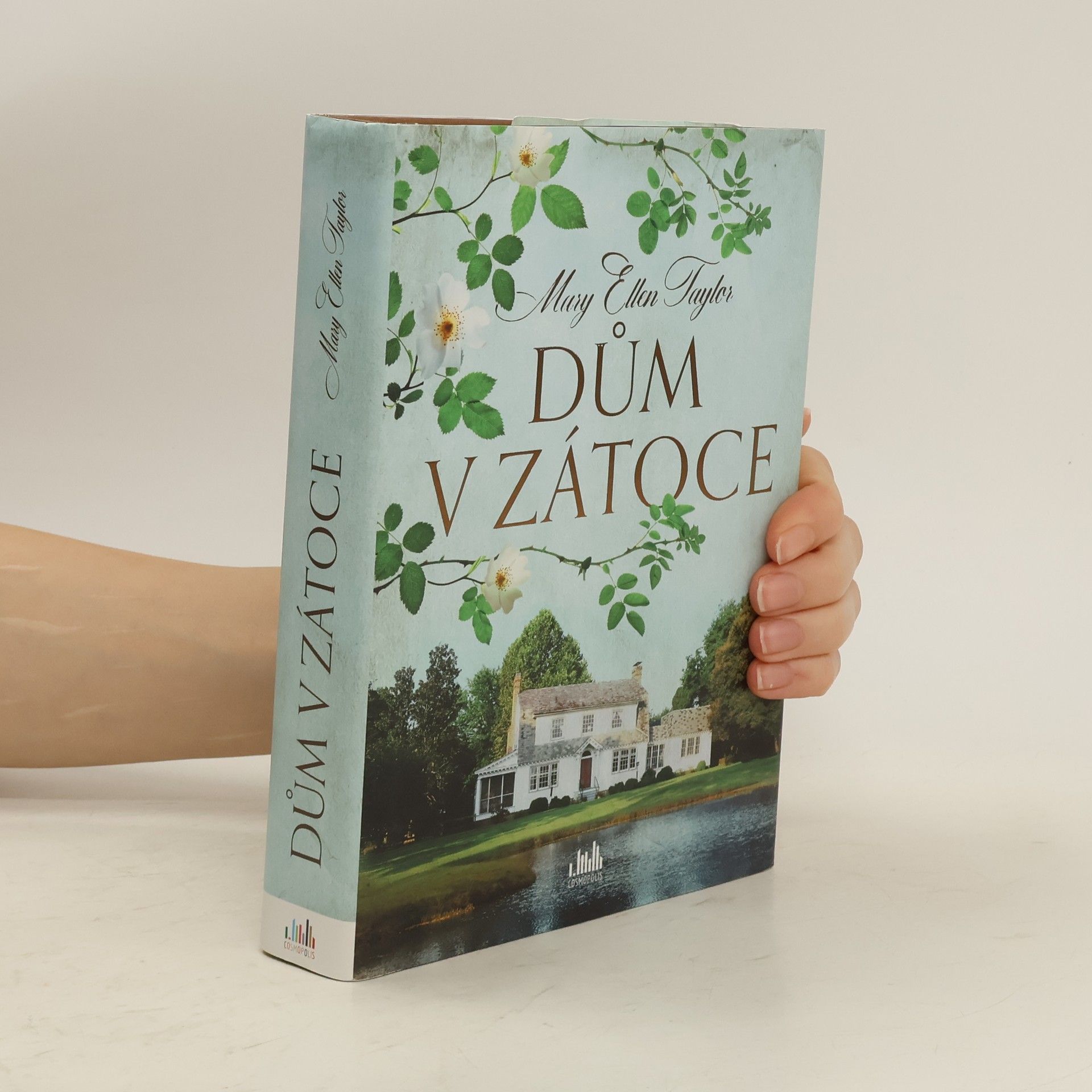 Mary Ellen Taylor Dům v zátoce