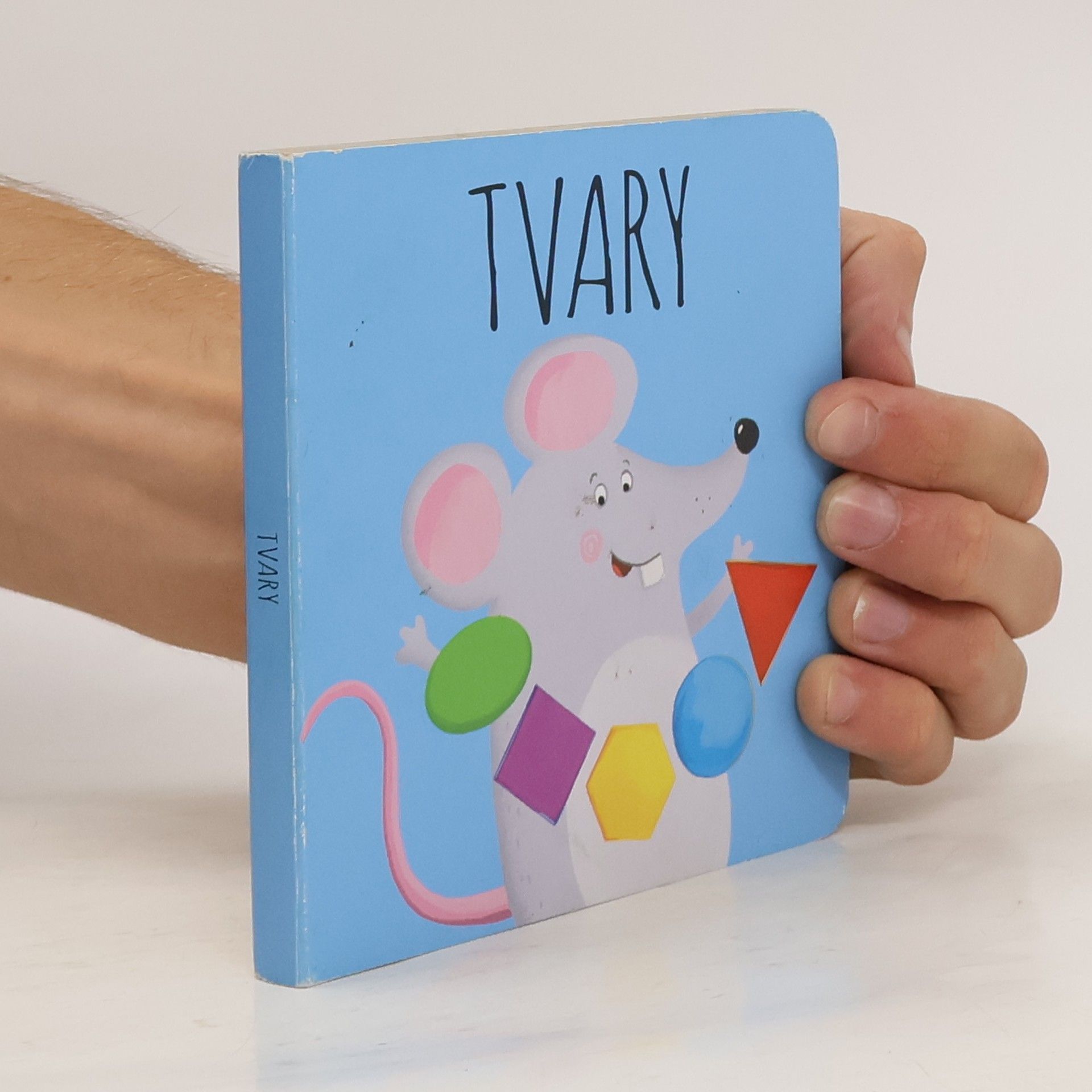 Anna Řebíčková Tvary