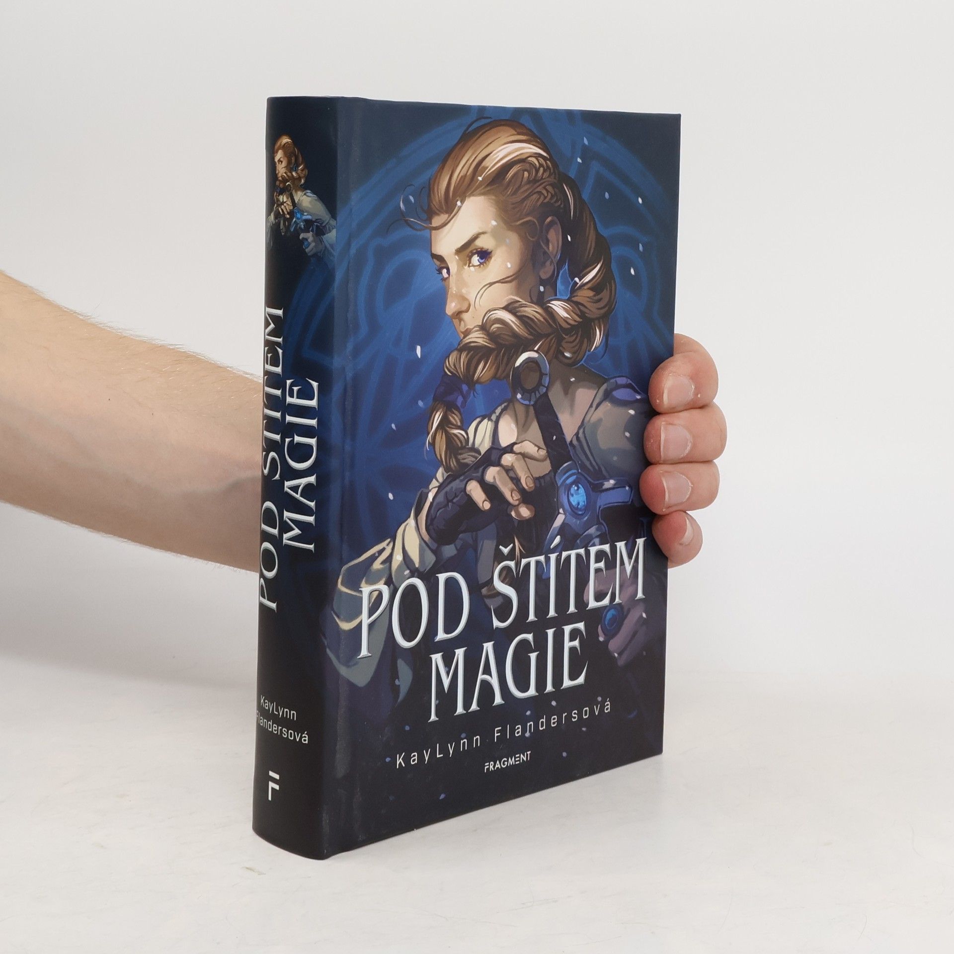 KayLynn Flanders Pod štítem magie