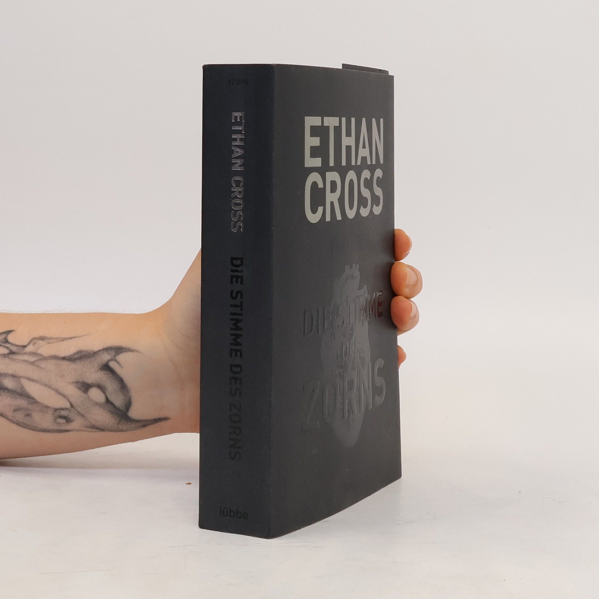 Ethan Cross Die Stimme des Zorns