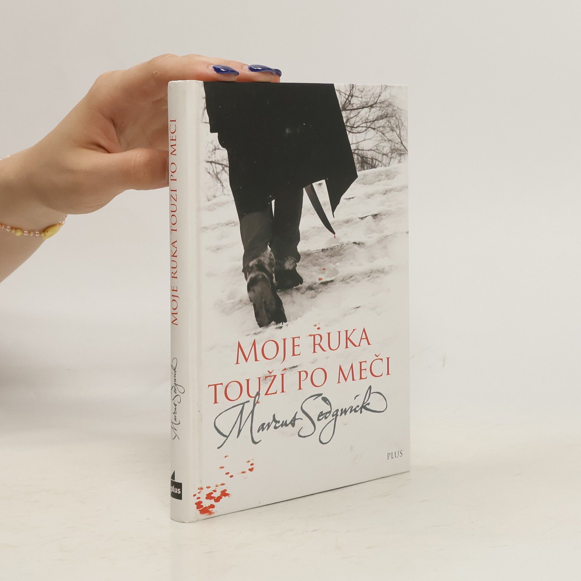 Marcus Sedgwick Moje ruka touží po meči
