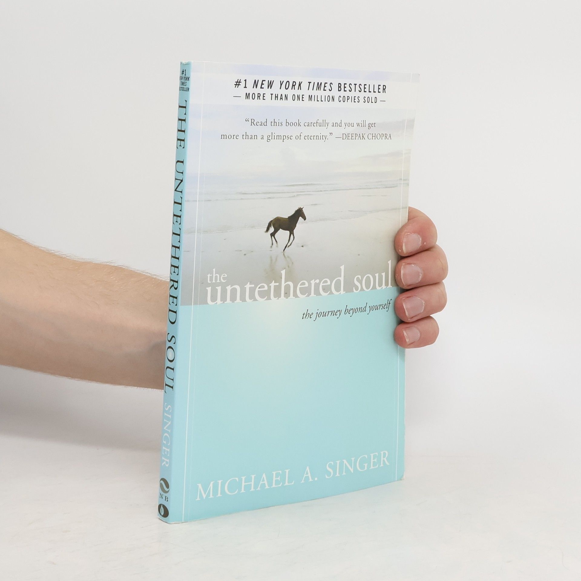 Michael Alan Singer The untethered soul. The journey beyond yourself