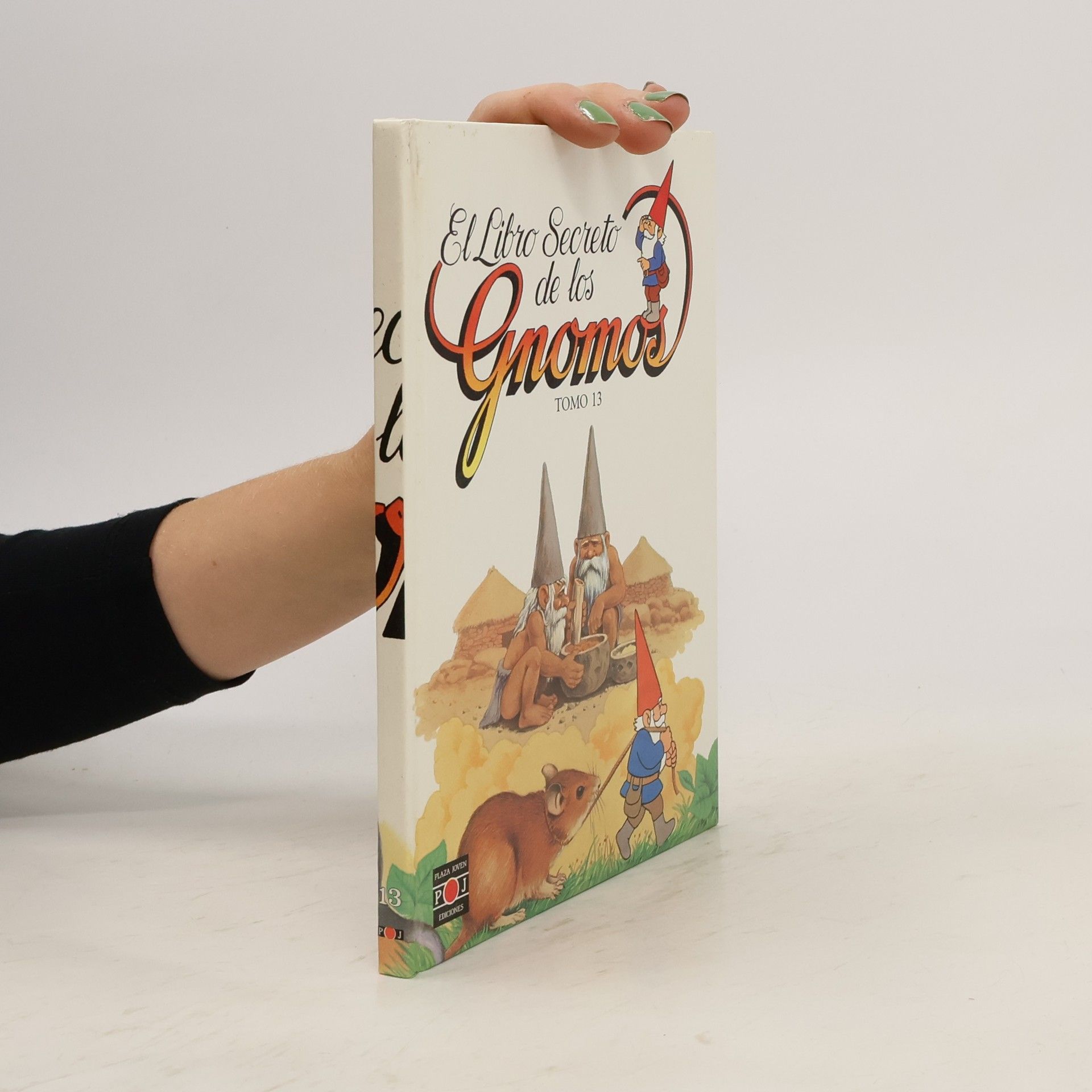 Collectif d'auteurs El Libro Secreto de los Gnomos
