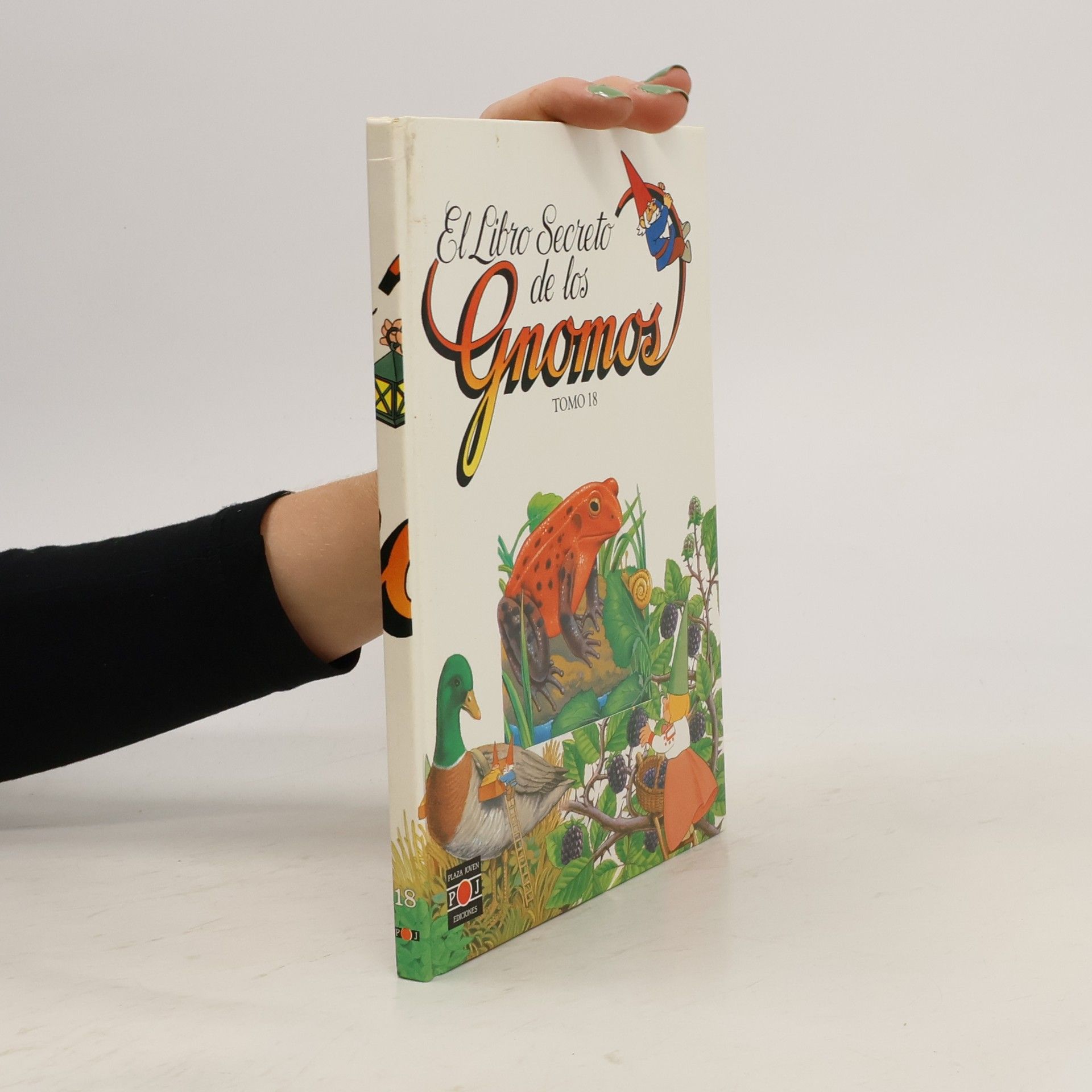 Autores varios El libro secreto de los gnomos 18