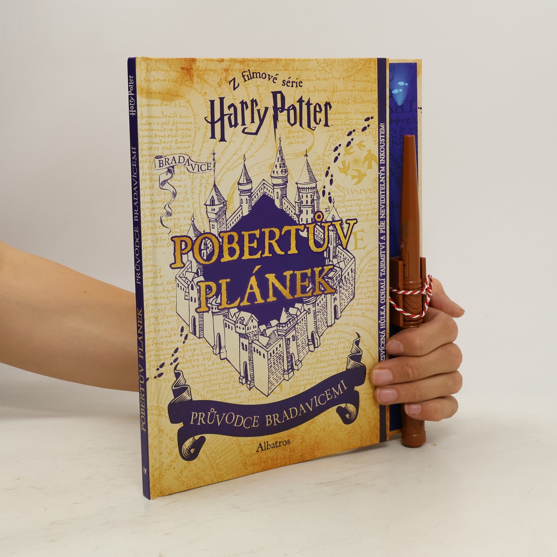 Erinn Pascal Harry Potter: Pobertův plánek