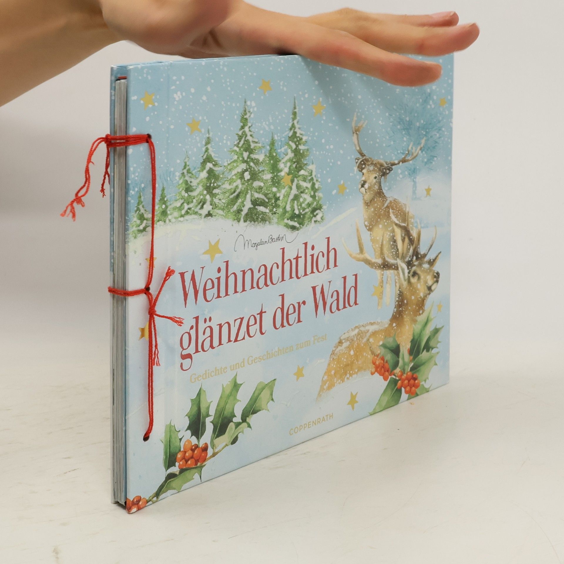 Marjolein Bastin Weihnachtlich glänzet der Wald