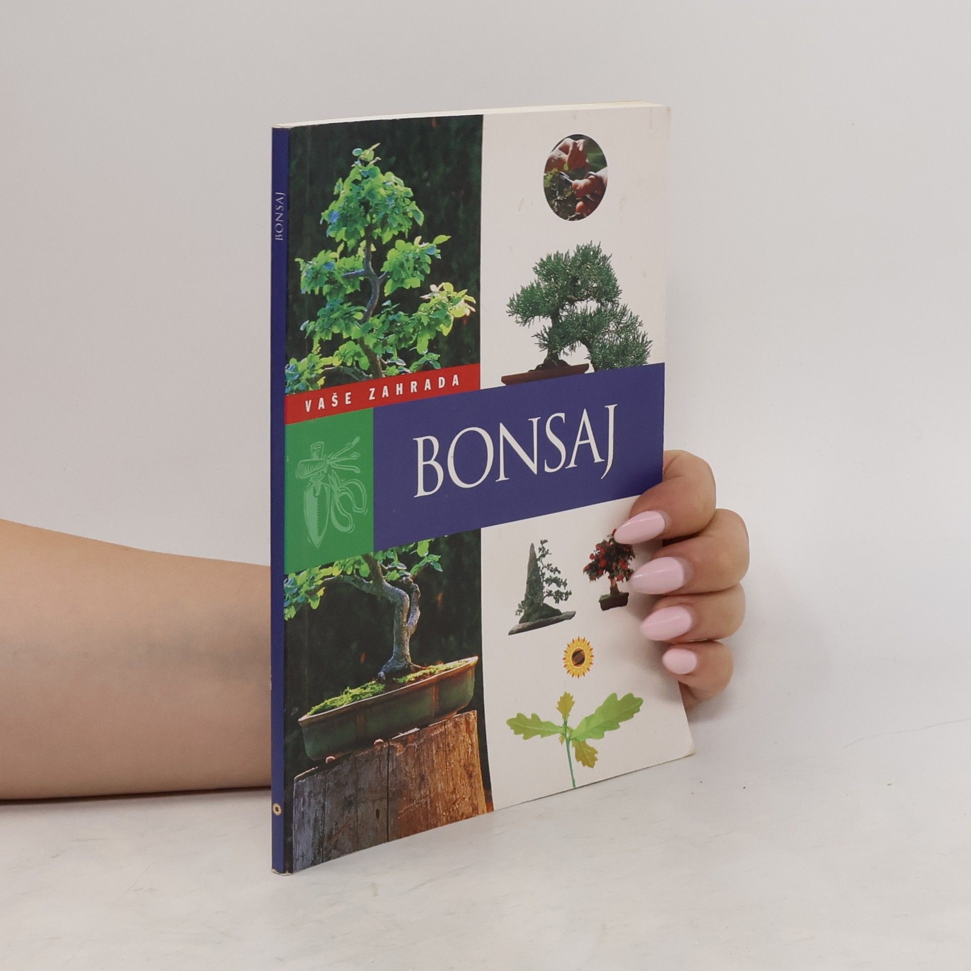 Autorenkollektiv Bonsaj