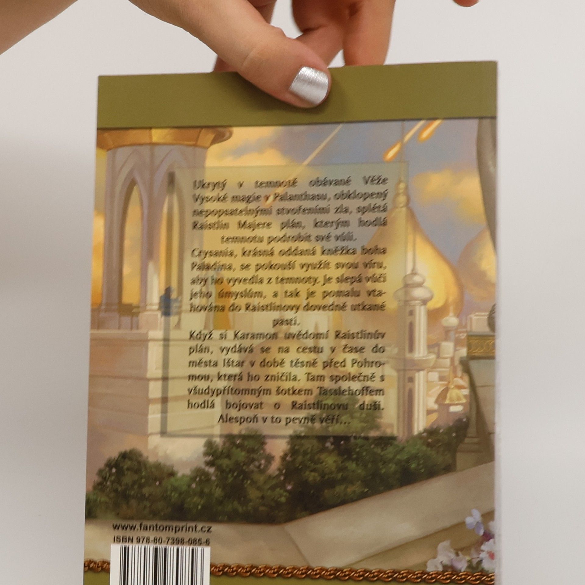 Margaret Weis Legendy. 1, Čas bratrství