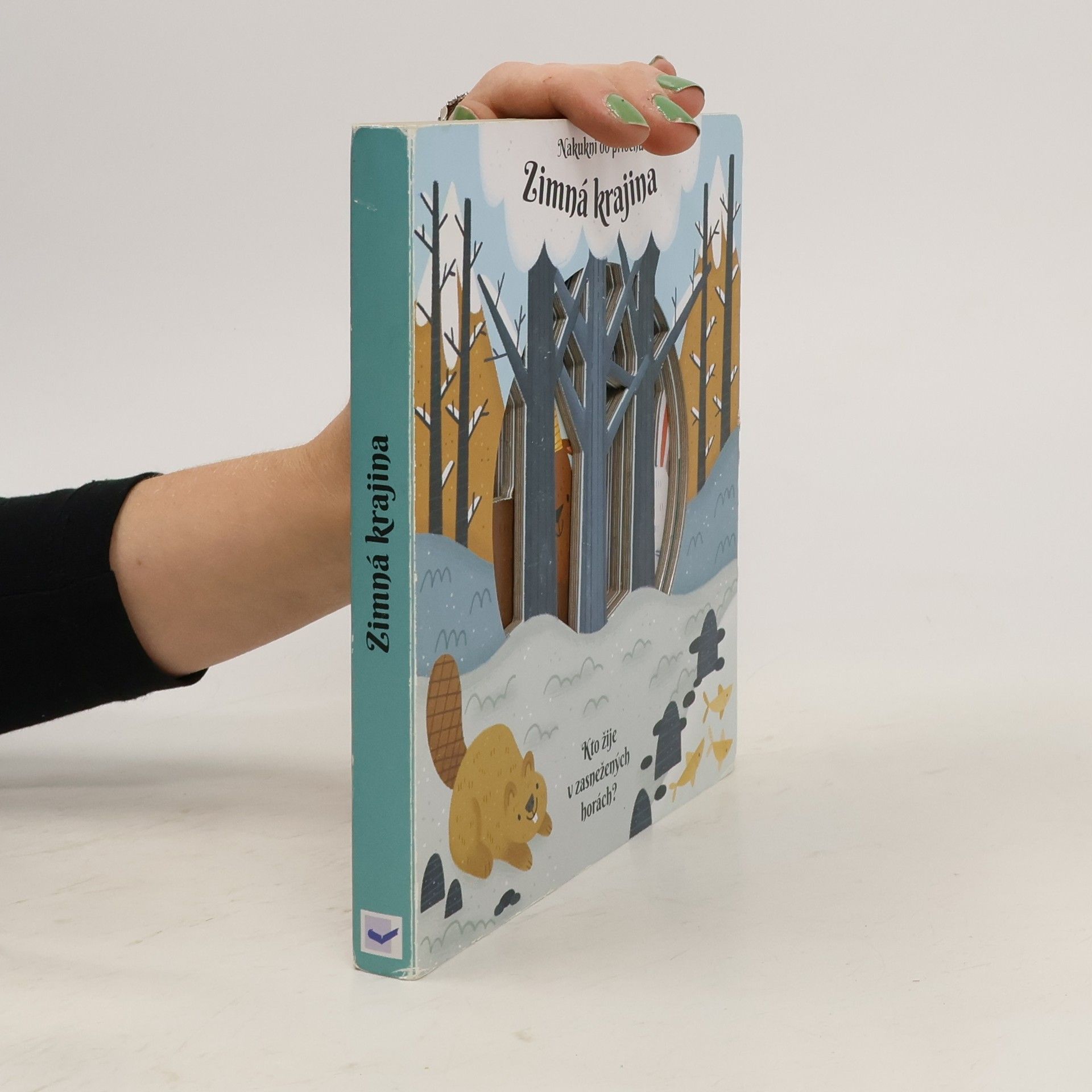 Autorenkollektiv Zimná krajina