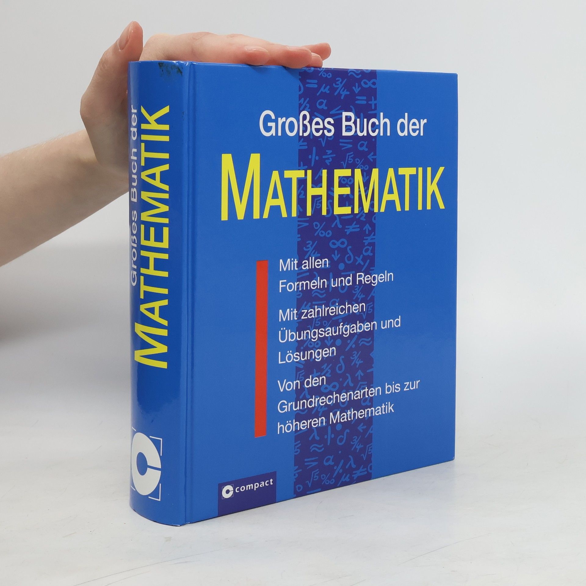 Katja Maria Delventhal Großes Buch der Mathematik