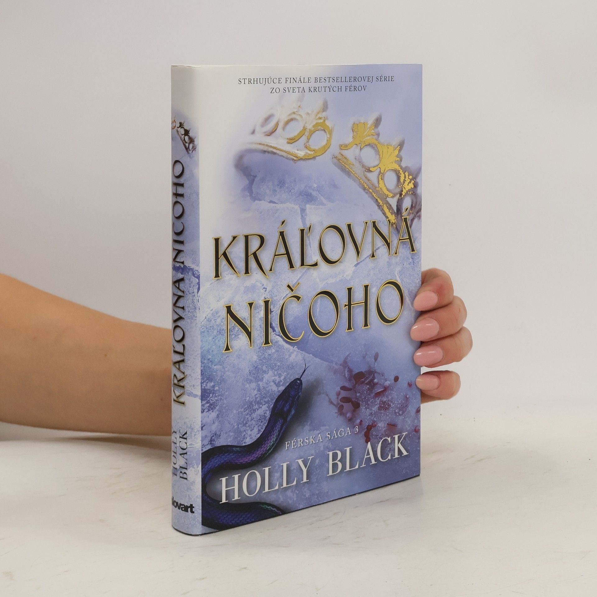 Holly Black Kráľovná ničoho