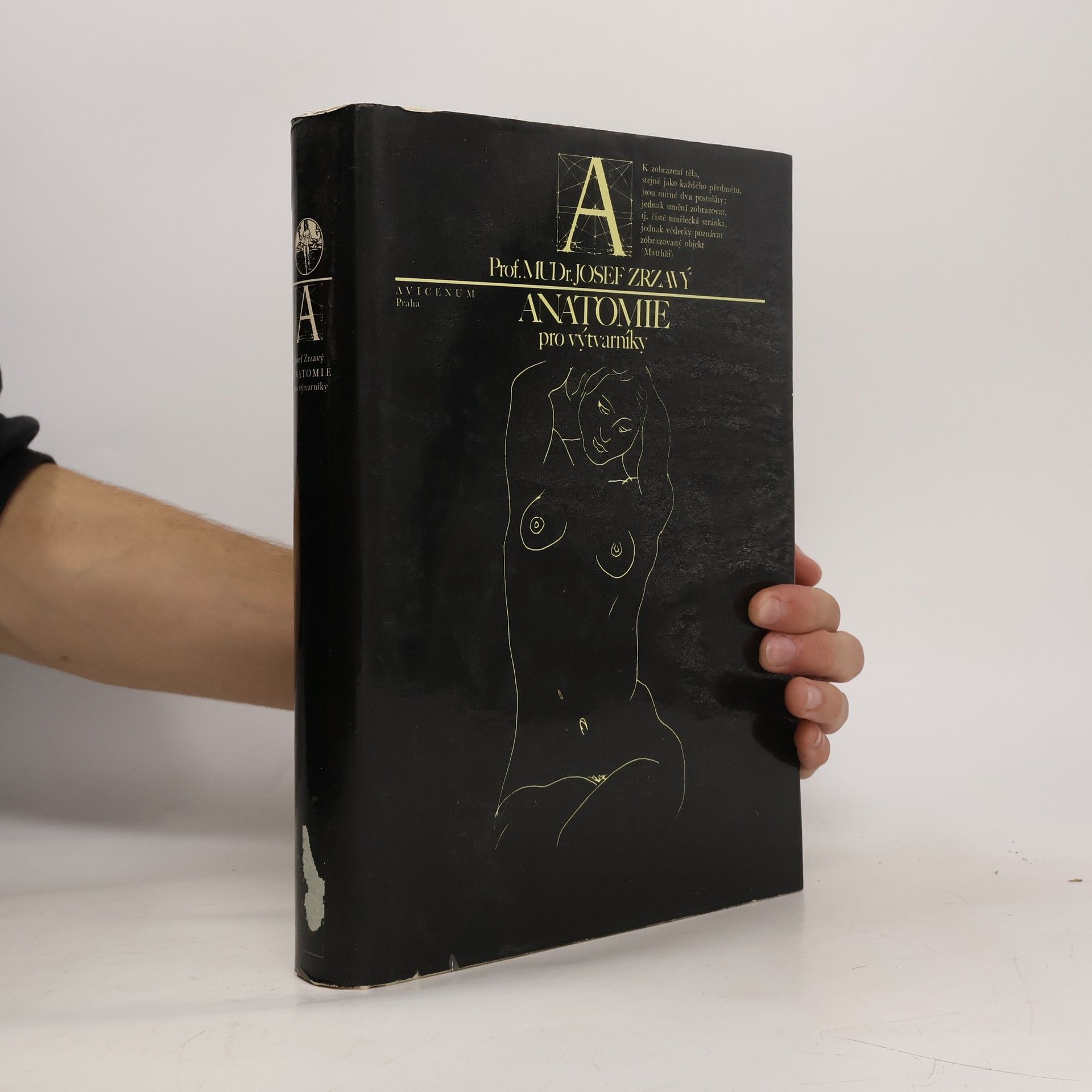 Josef Zrzavý Anatomie pro výtvarníky