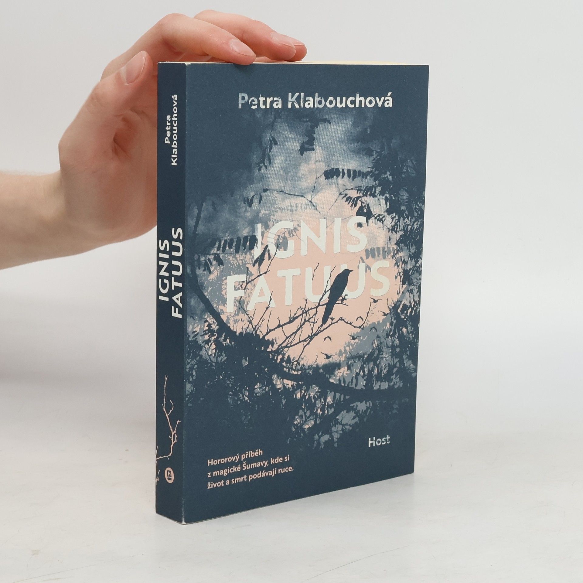 Petra Klabouchová Ignis fatuus