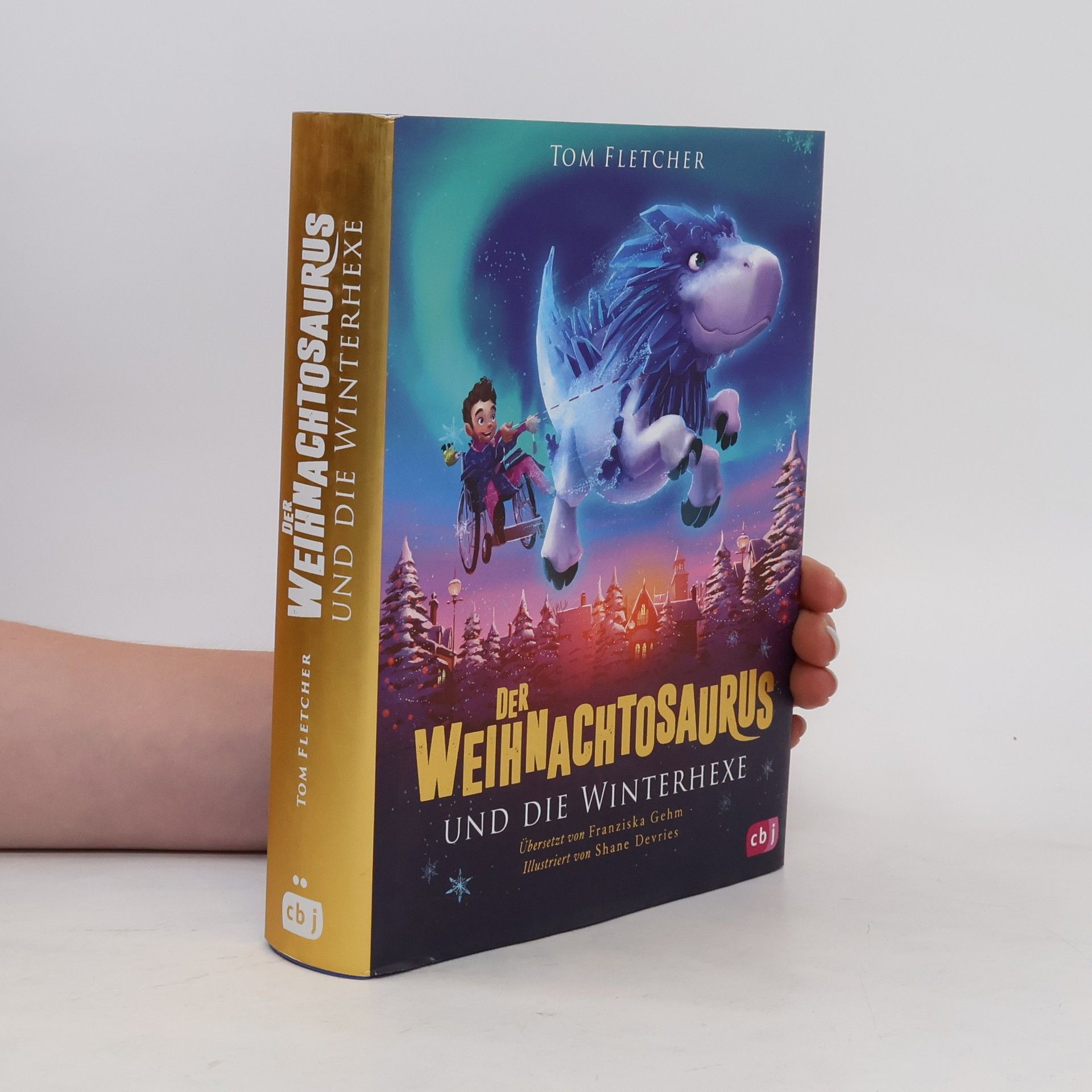 Tom Fletcher Der Weihnachtosaurus und die Winterhexe