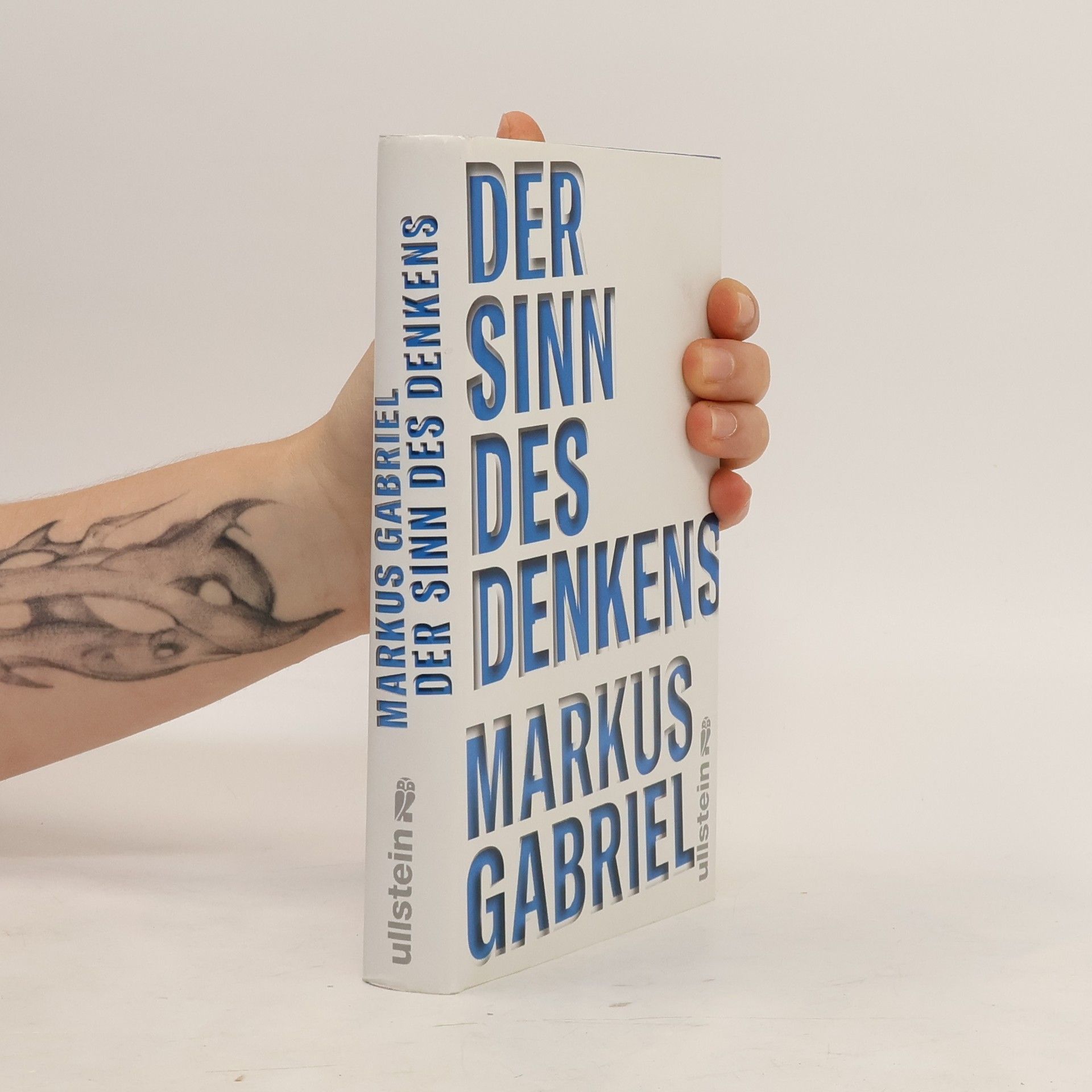 Markus Gabriel Der Sinn des Denkens