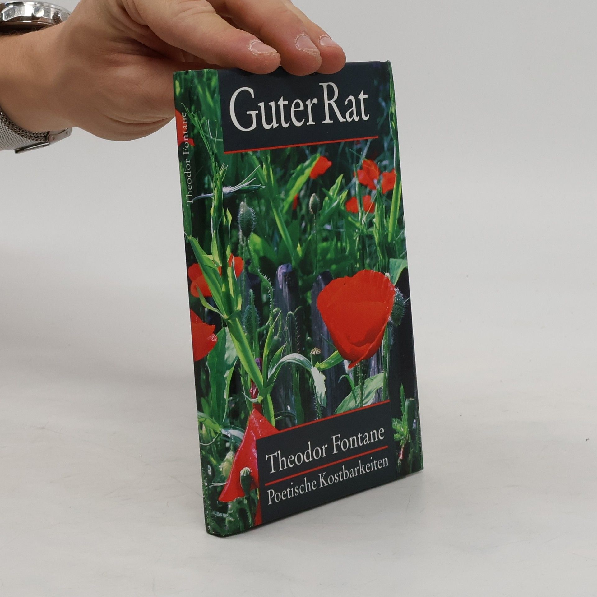 Theodor Fontane Guter Rat