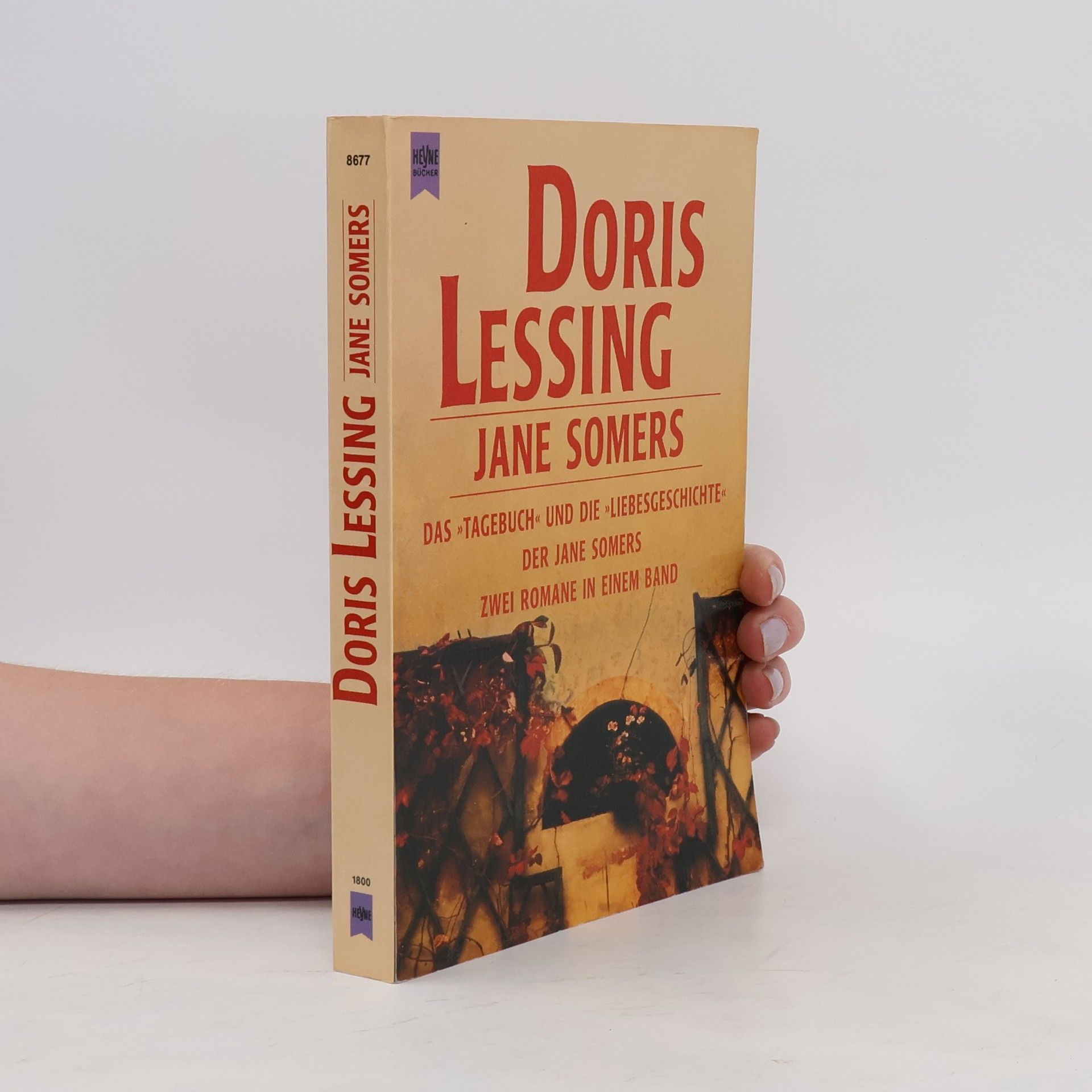 Doris Lessing Jane Somers