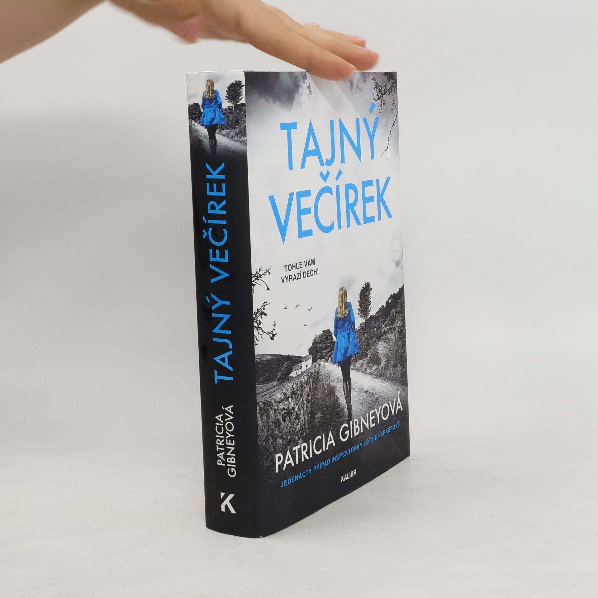 Patricia Gibney Tajný večírek