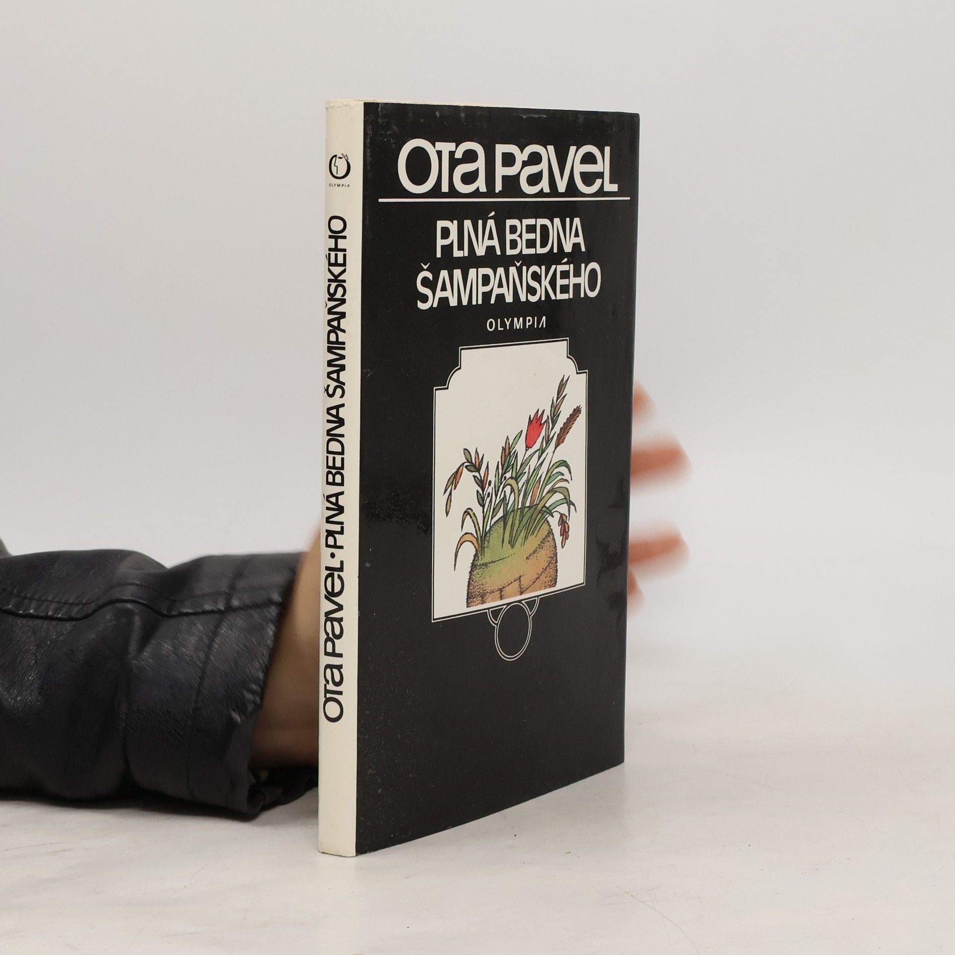 Ota Pavel Plná bedna šampaňského