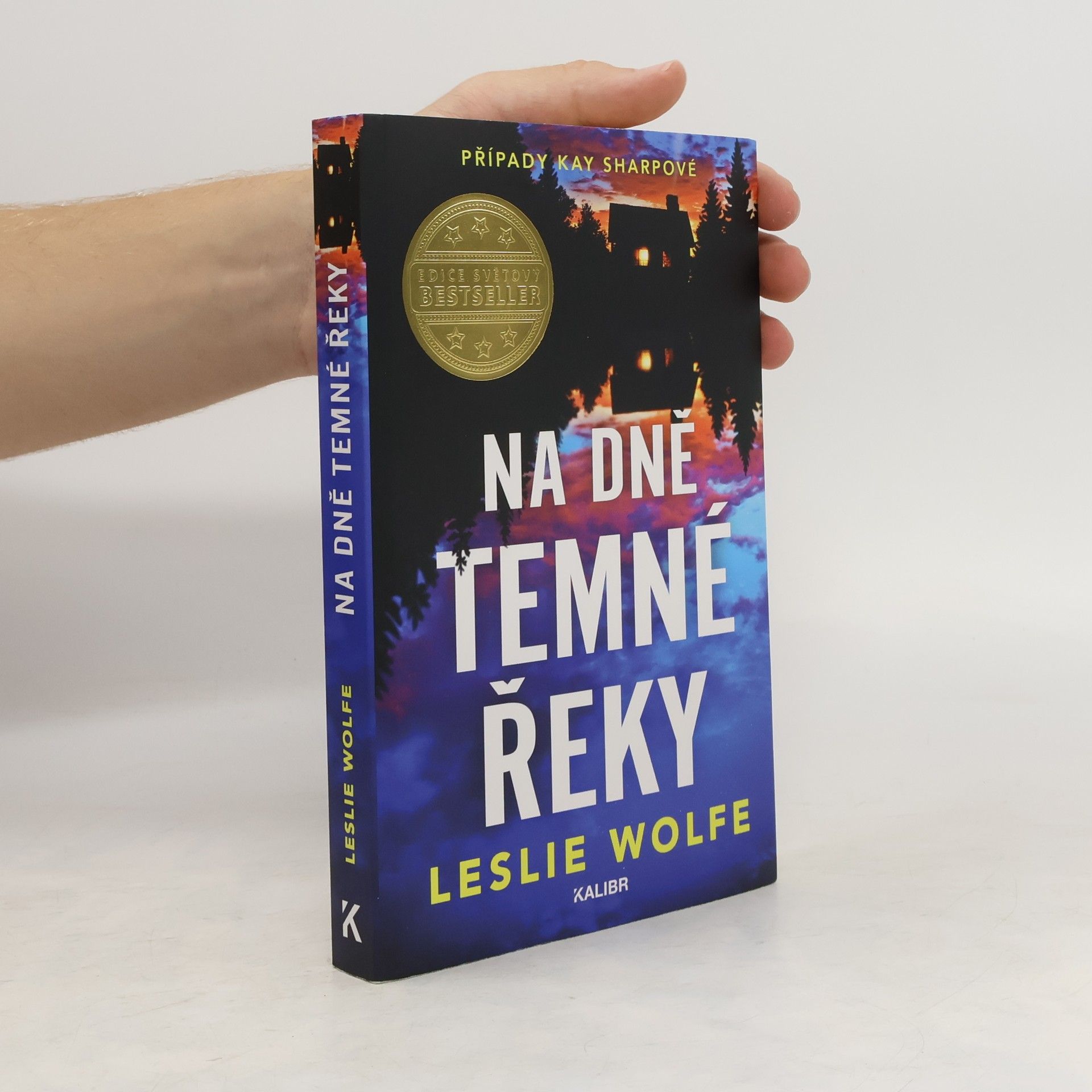 Leslie Wolfe Na dně Temné řeky