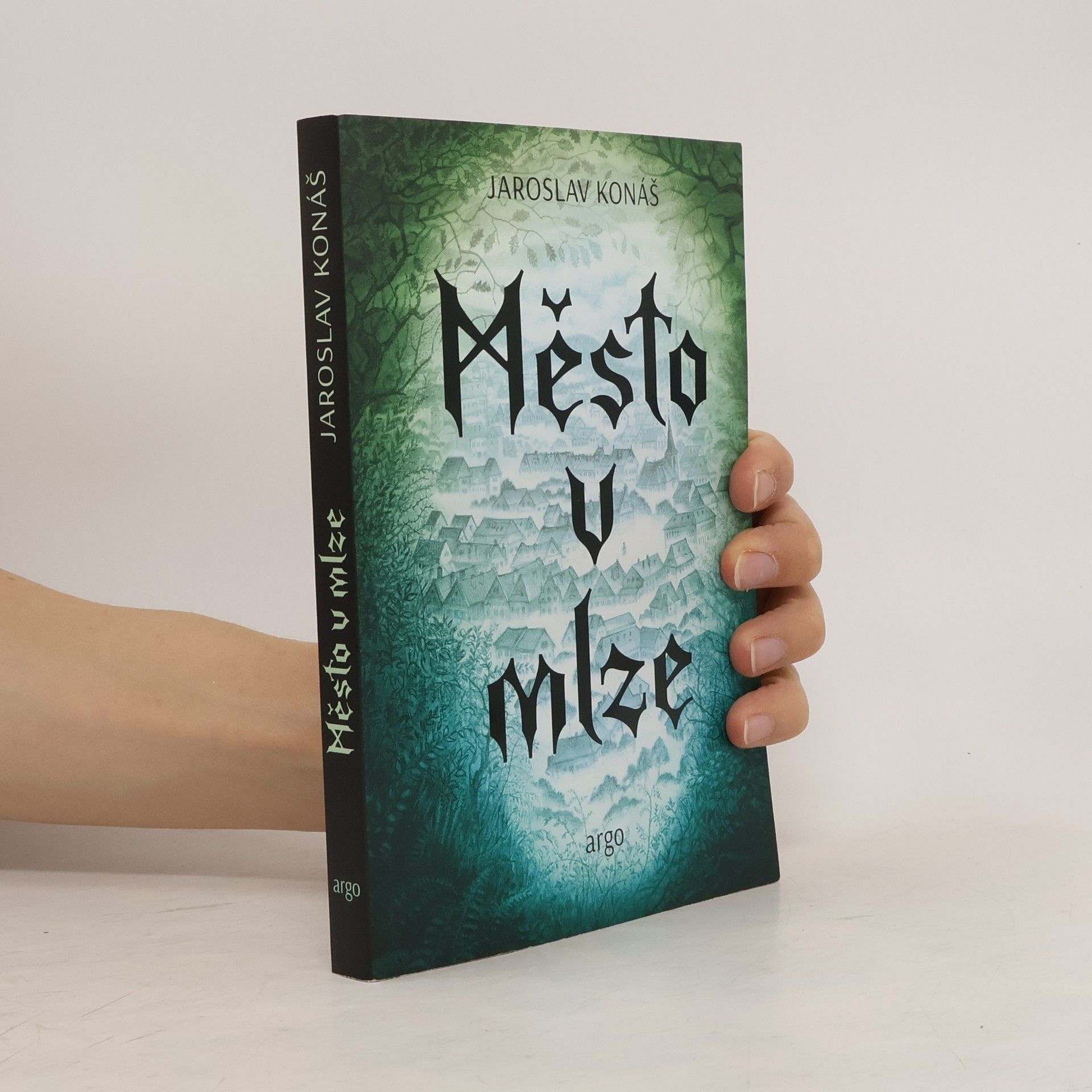 Jaroslav Konáš Město v mlze