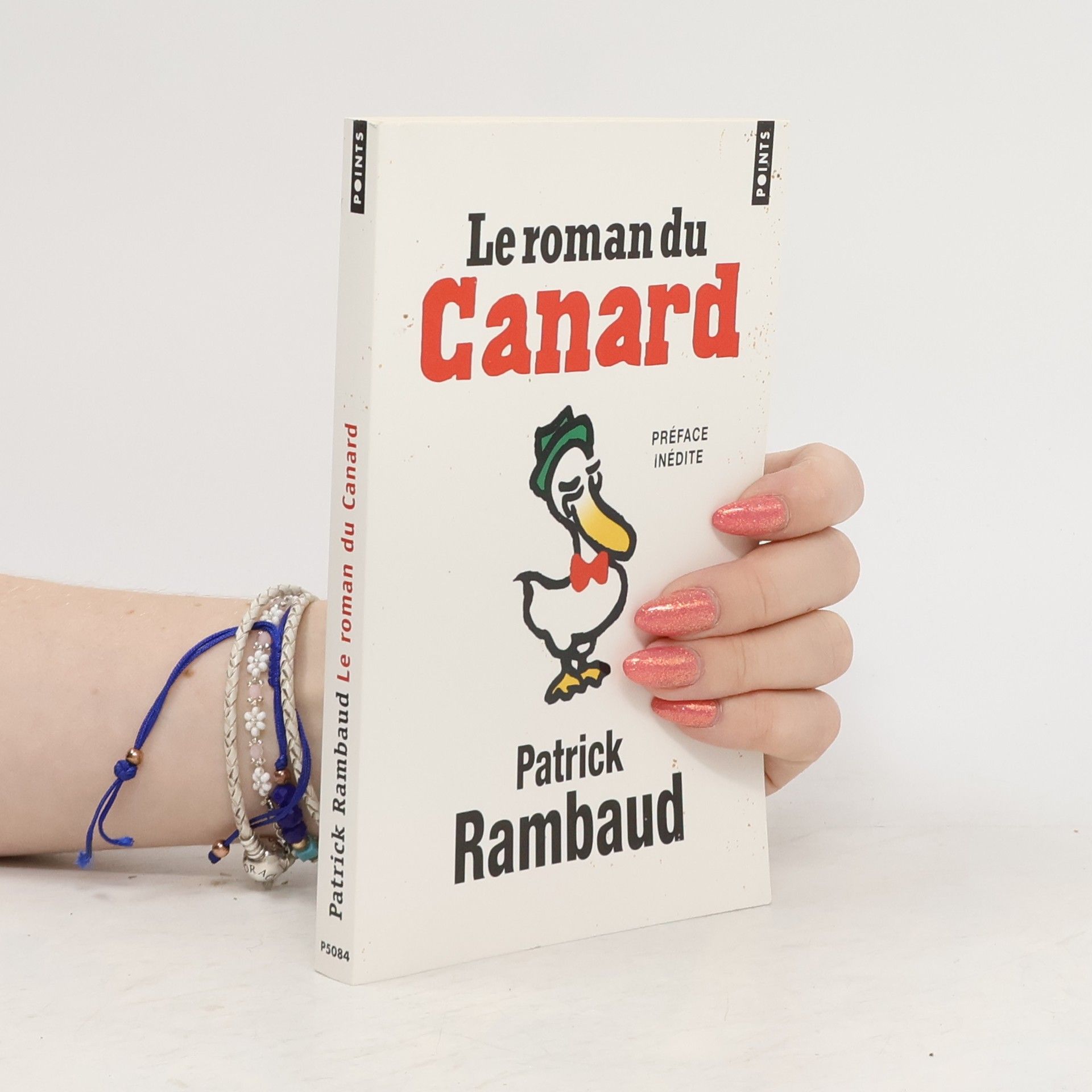 Patrick Rambaud Le roman du Canard