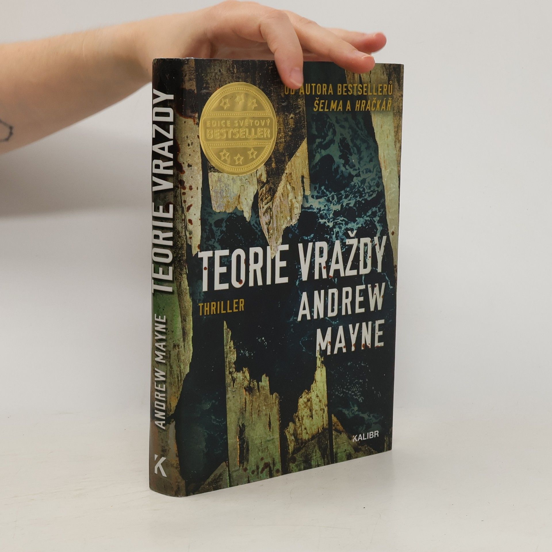 Andrew Mayne Teorie vraždy