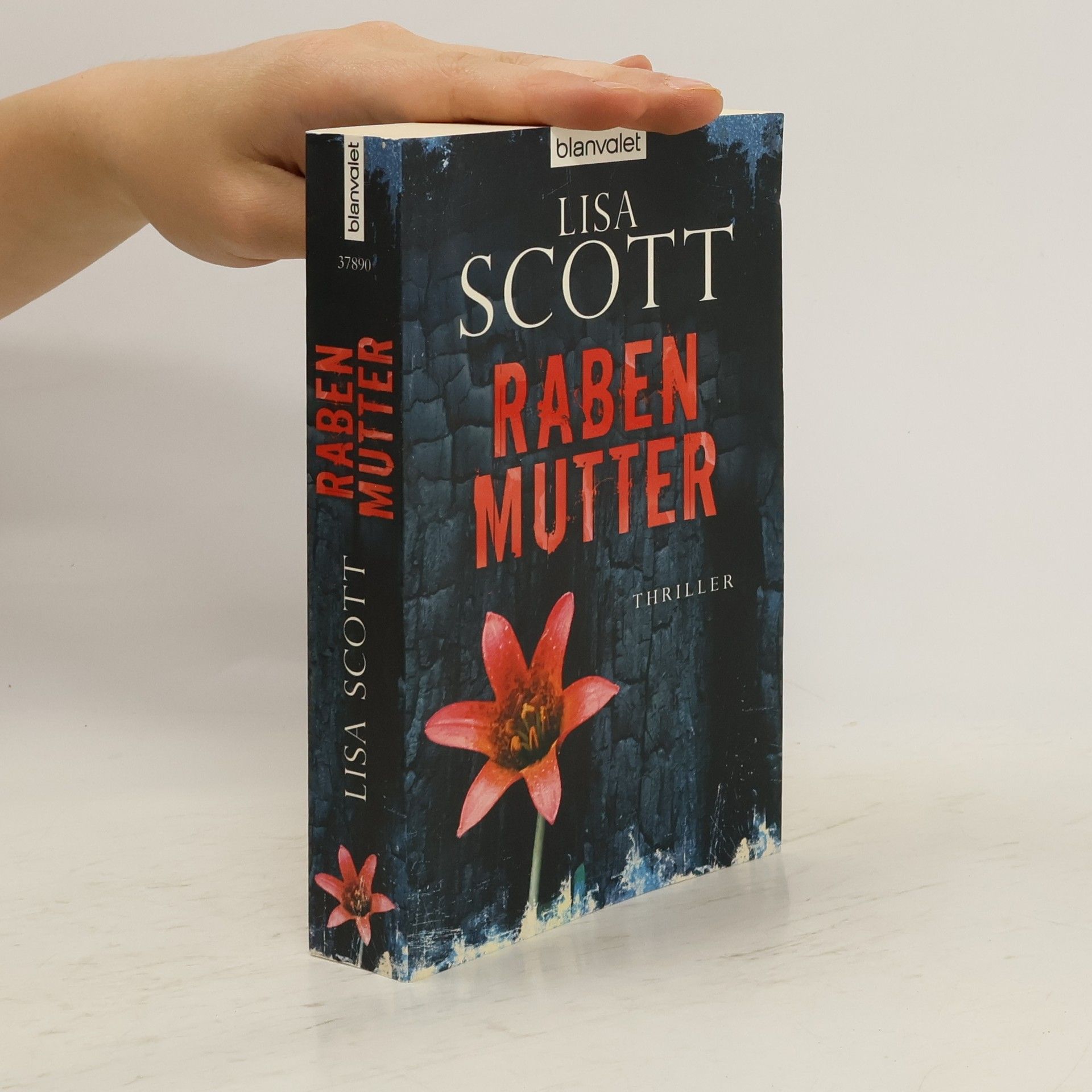 Lisa Scottoline Rabenmutter