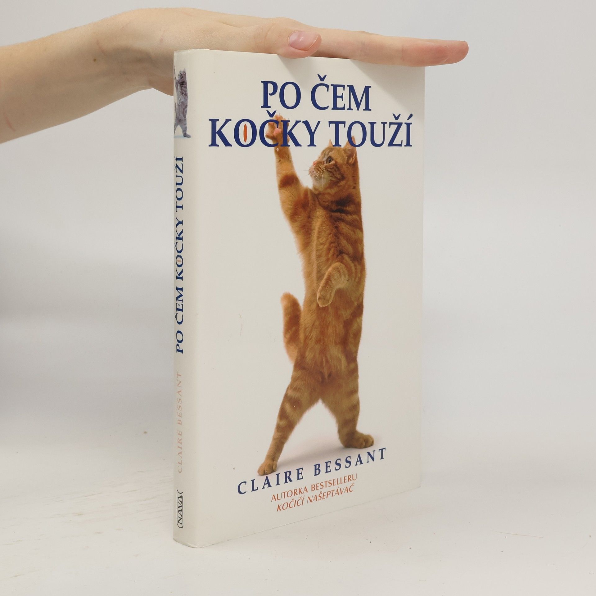 Claire Bessant Po čem kočky touží