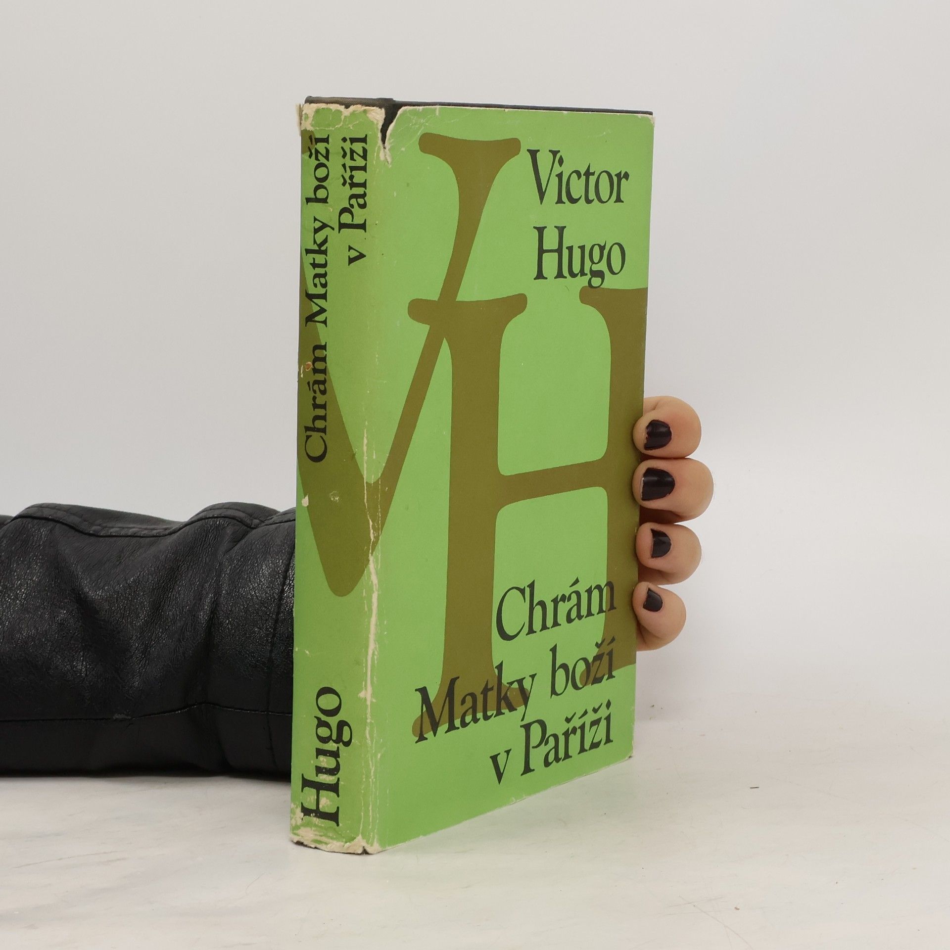 Victor Hugo Chrám Matky boží v Paříži