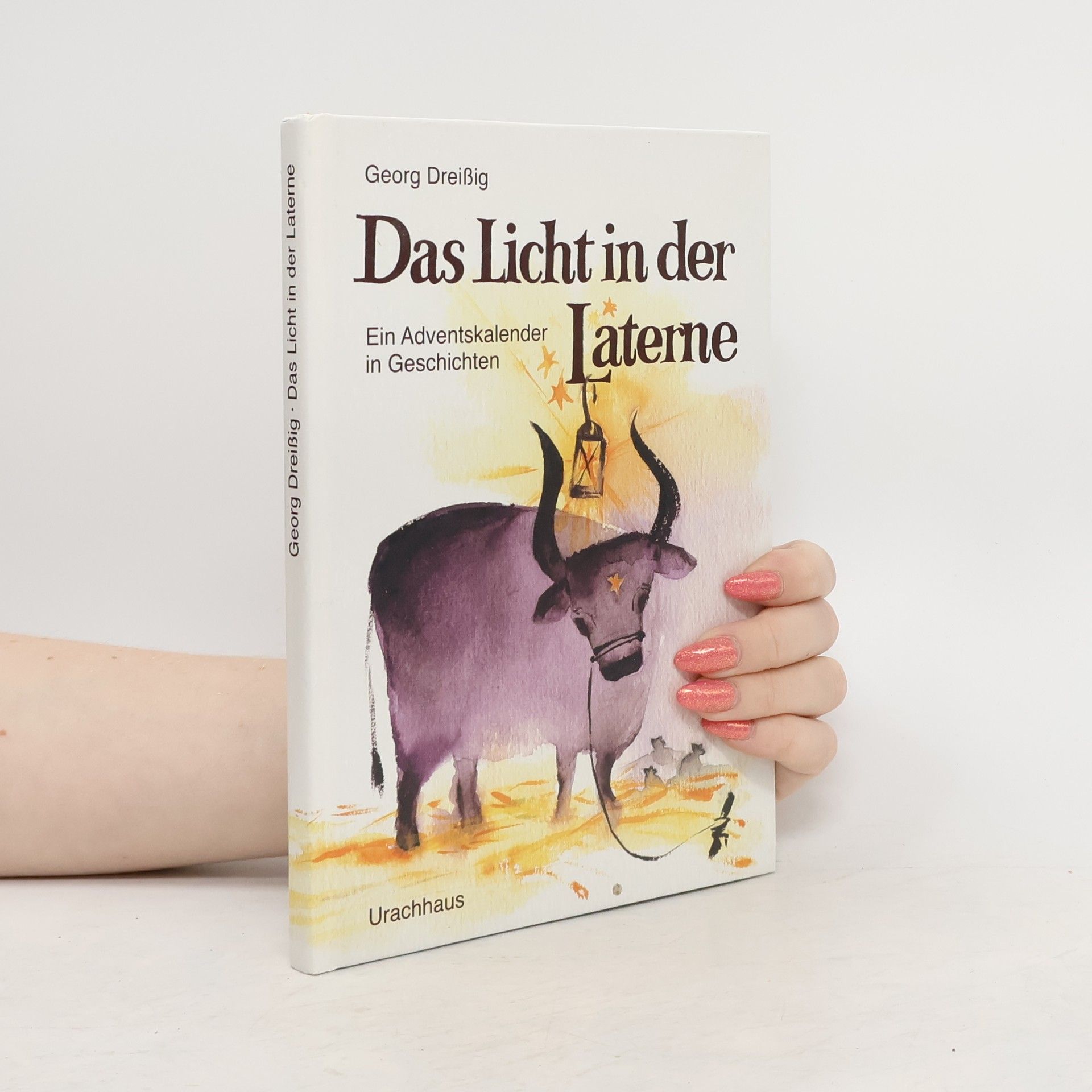 Georg Dreissig Das Licht in der Laterne