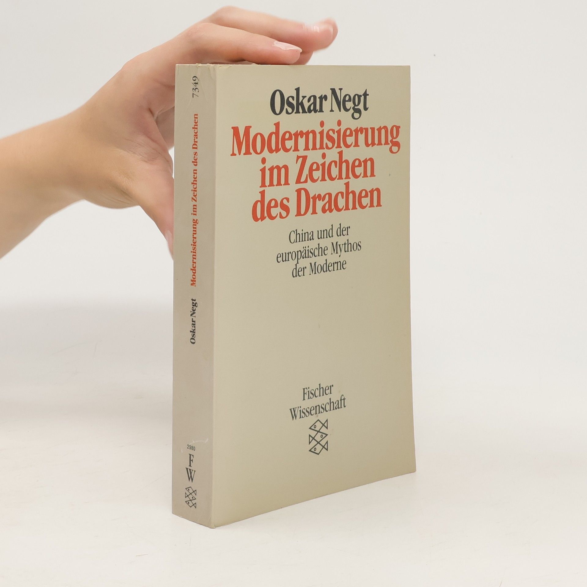 Oskar Negt Modernisierung im Zeichen des Drachen