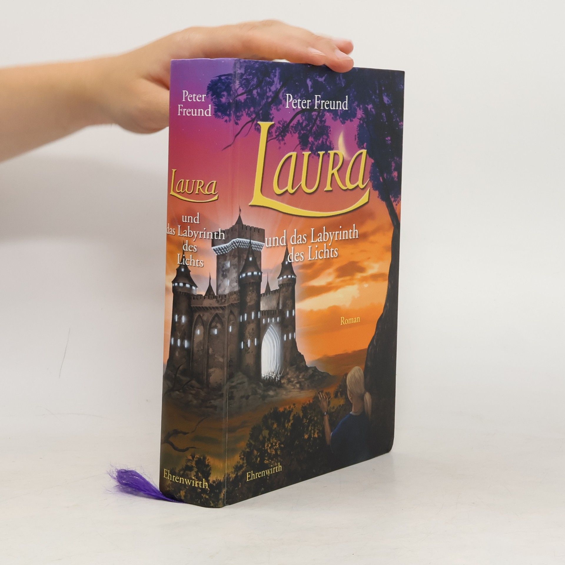 Peter Freund Laura und das Labyrinth des Lichts
