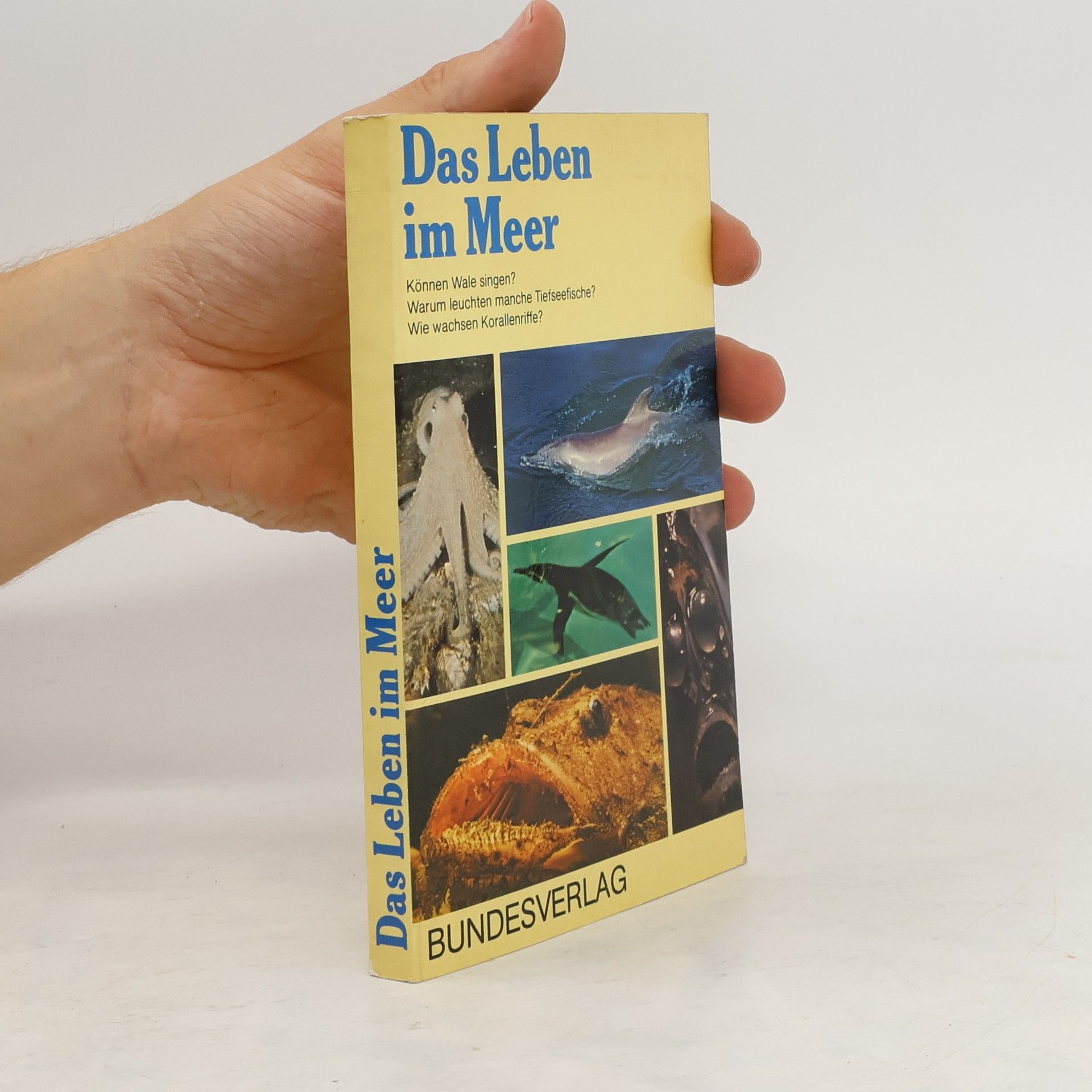 kolektiv Das Leber im Meer