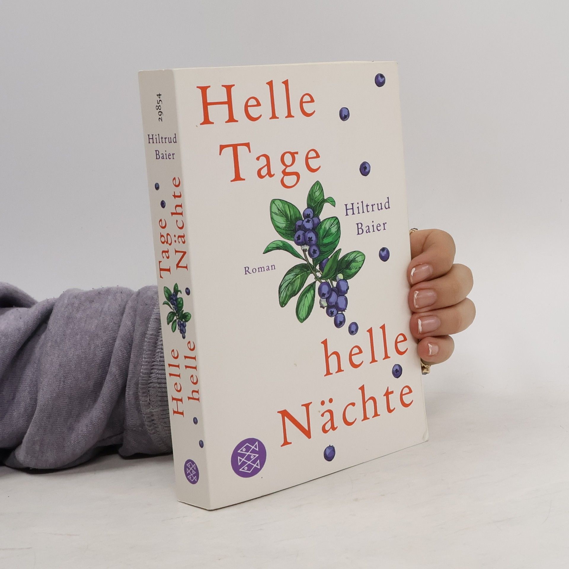 Hiltrud Baier Helle Tage, helle Nächte