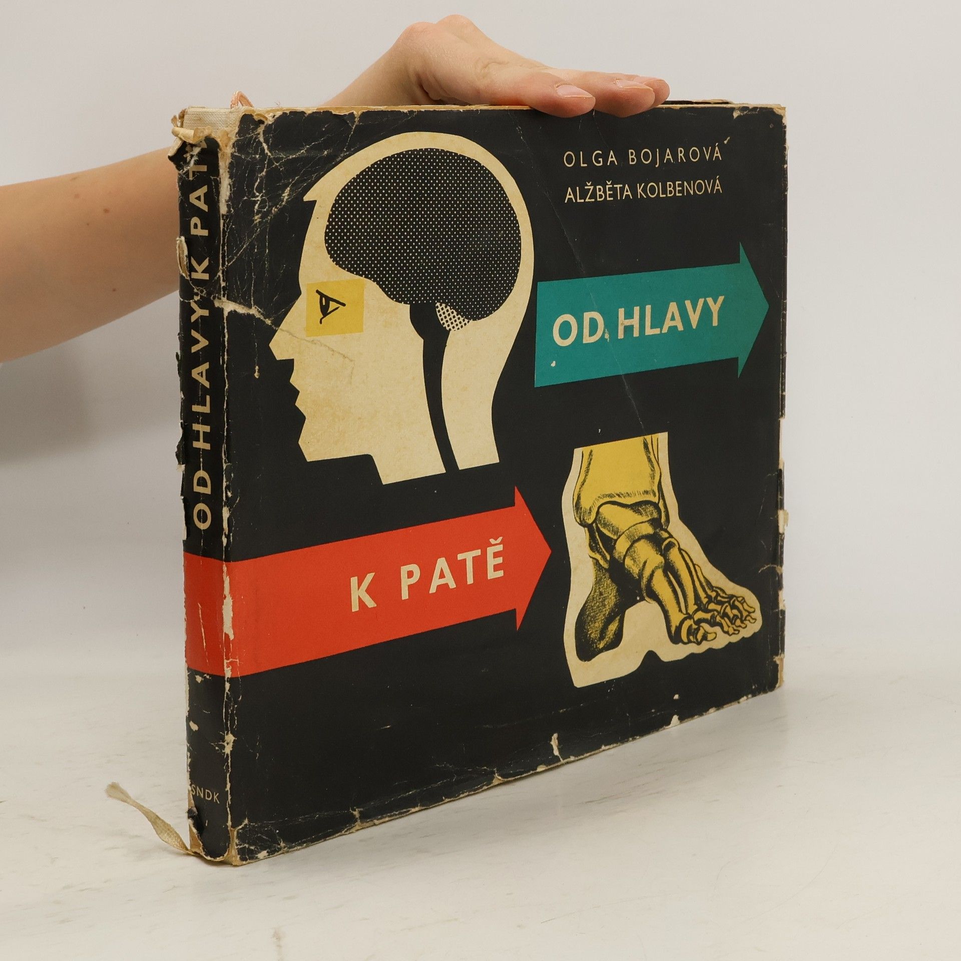 Olga Bojarová Od hlavy k patě