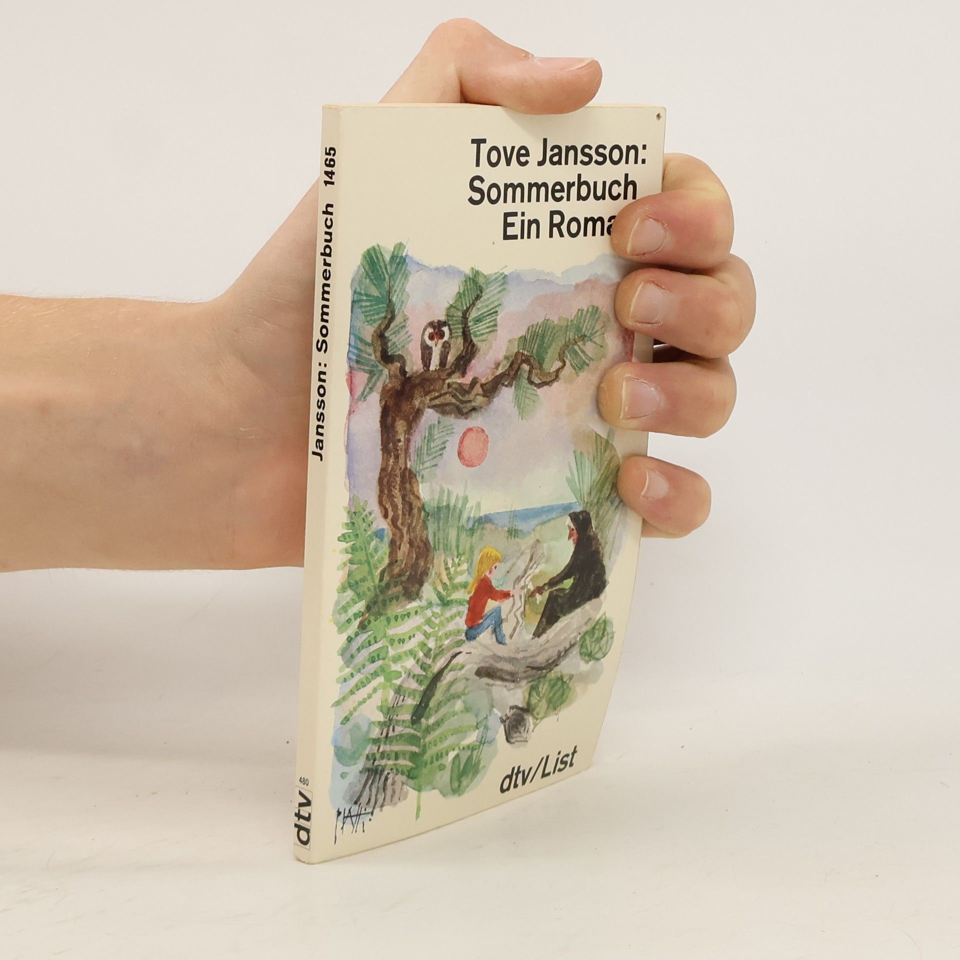 Tove Jansson Sommerbuch