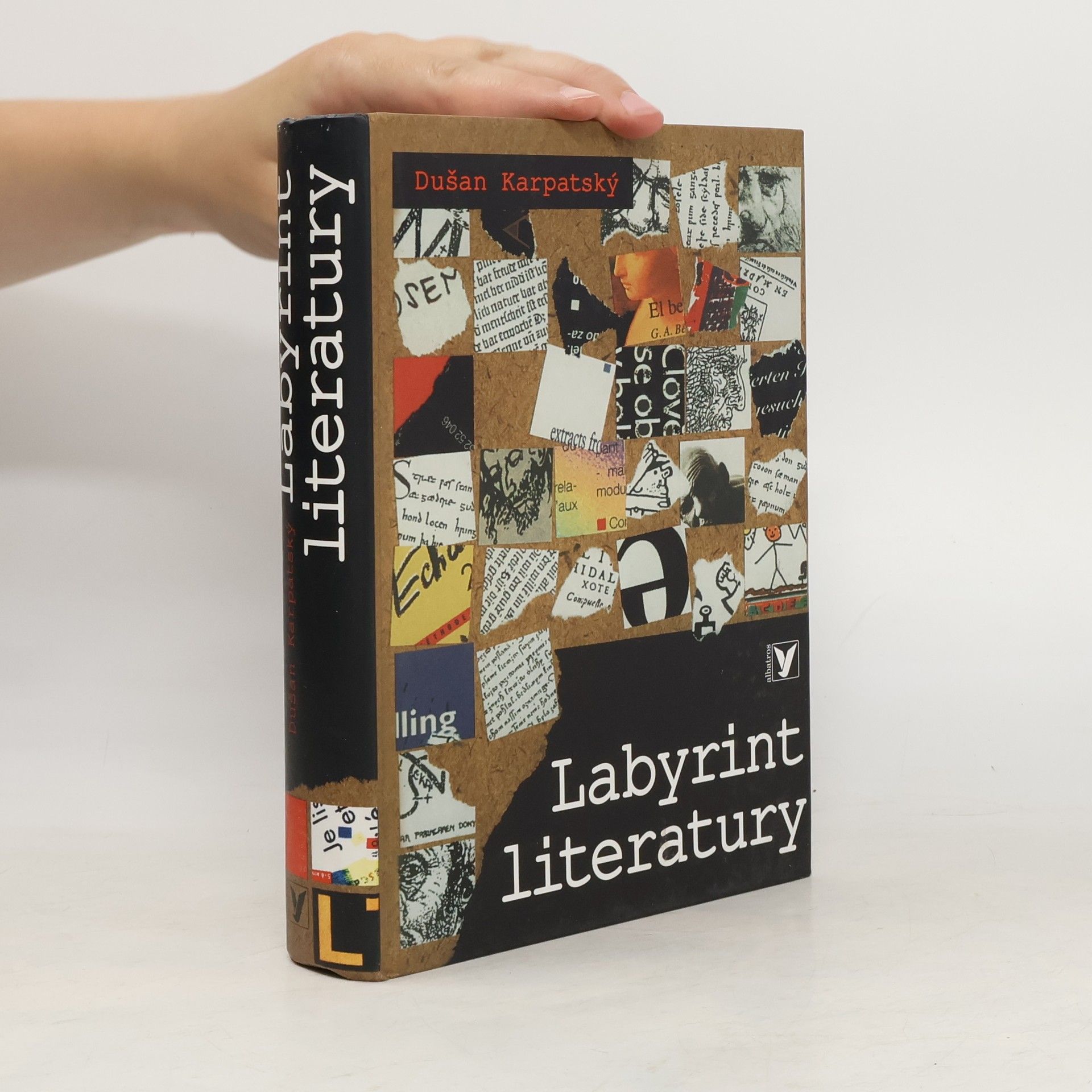 Dušan Karpatský Labyrint literatury