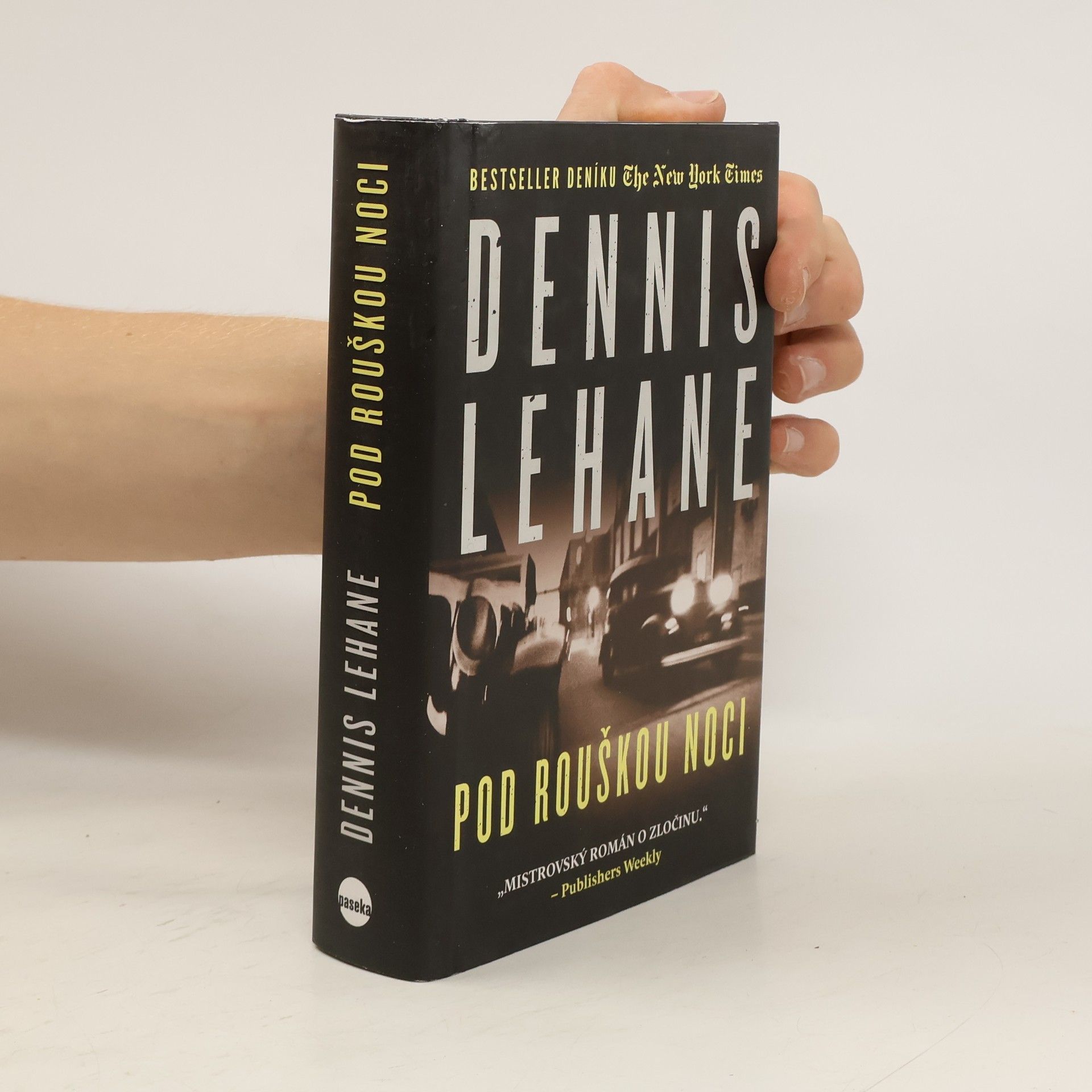 Dennis Lehane Pod rouškou noci