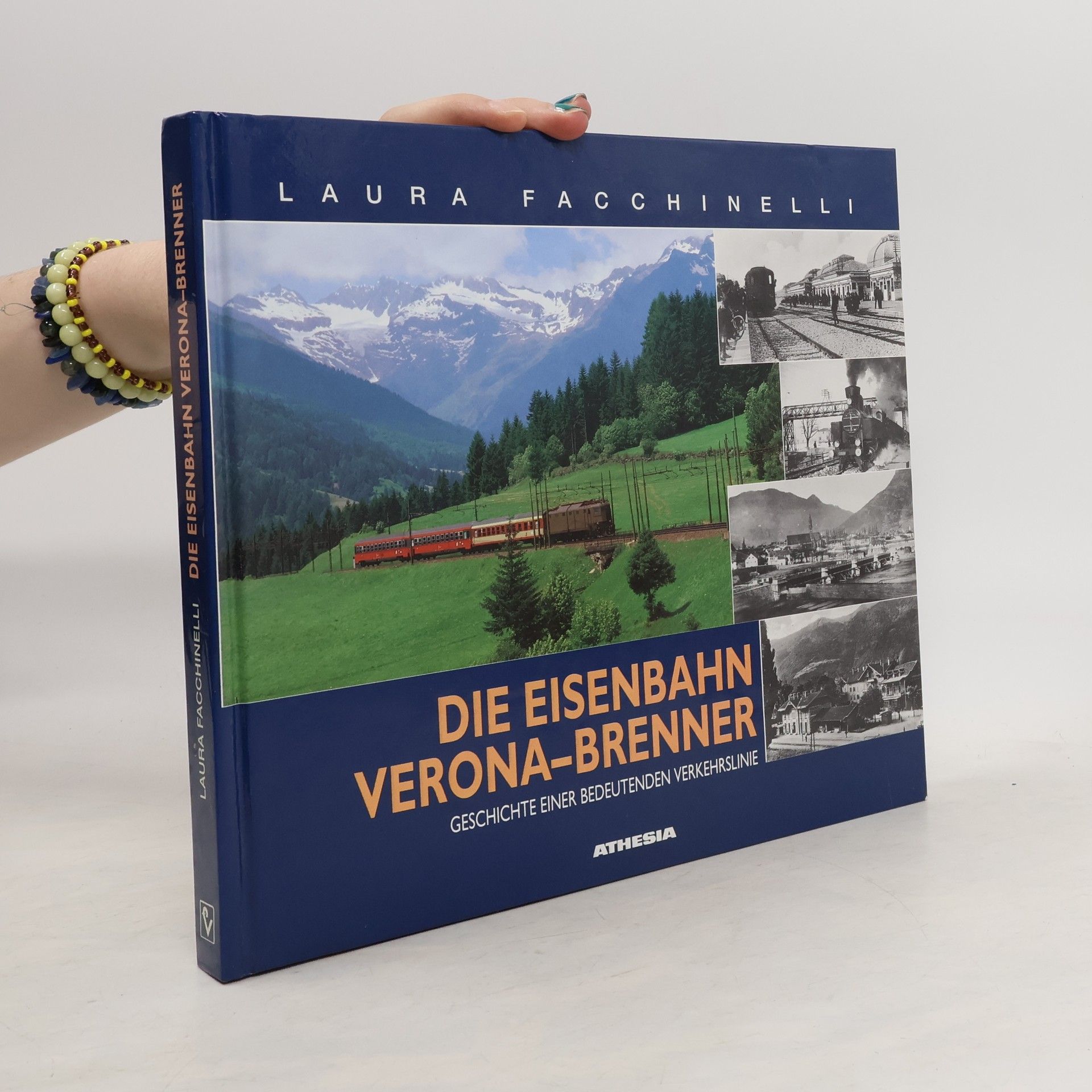 Laura Facchinelli Die Eisenbahn Verona-Brenner